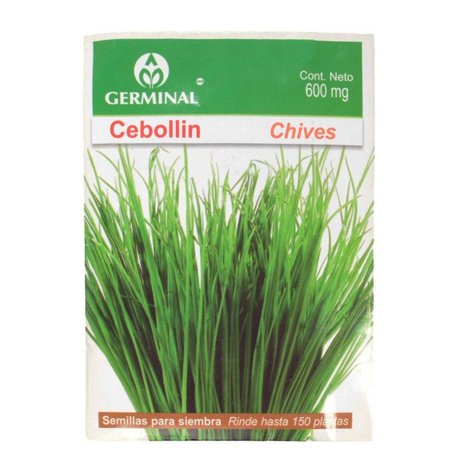 SEMILLAS PARA SIEMBRA CEBOLLIN 600 MG VERDE GERMINAL 