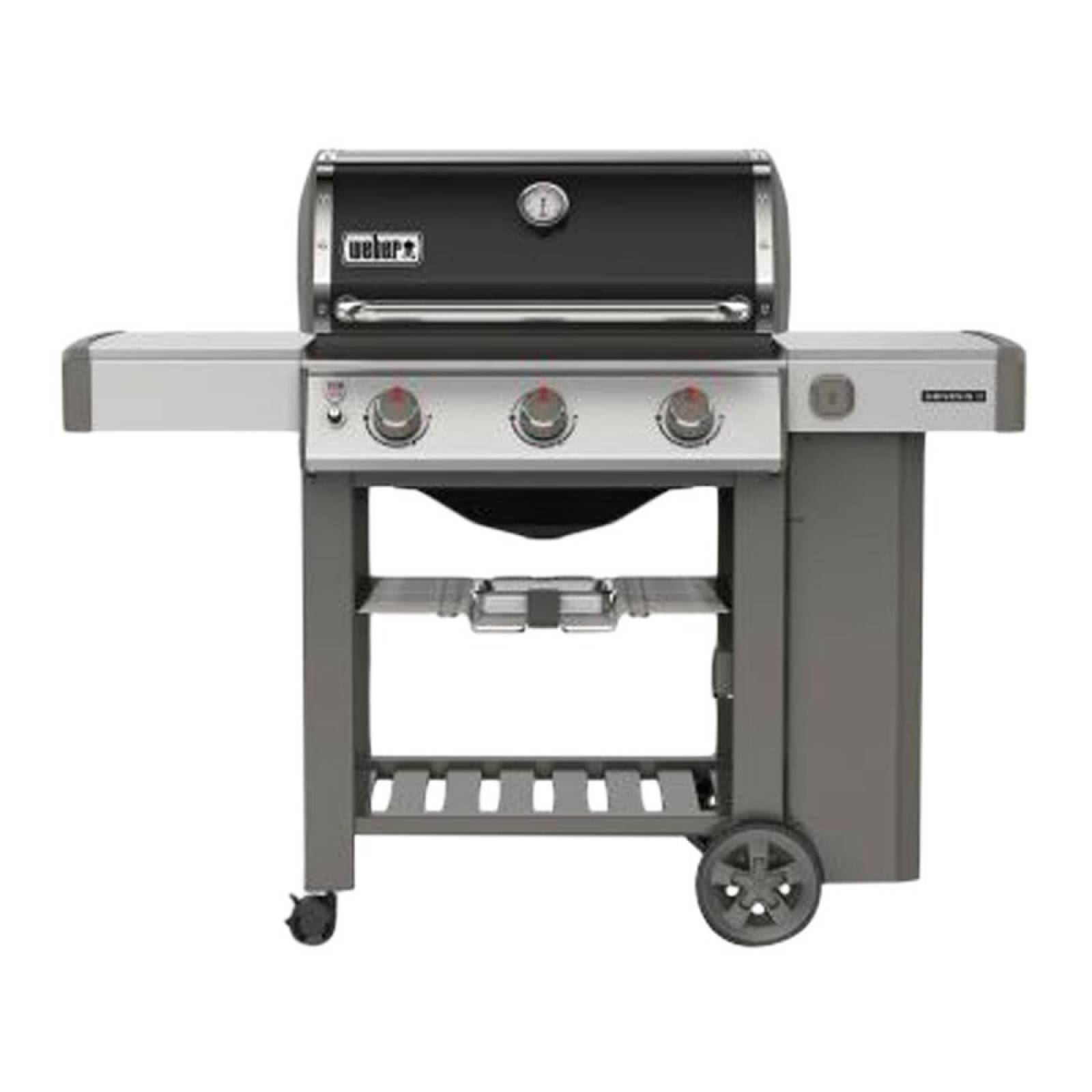Asador Gas Genesis II E310