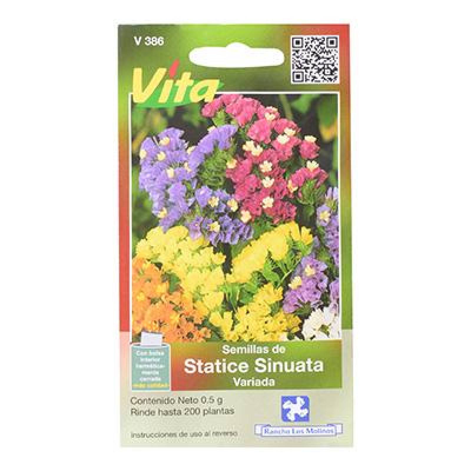 SEMILLAS DE STATICE SINUATA VARIADA 0.5 GR MULTICOLOR VÍTA