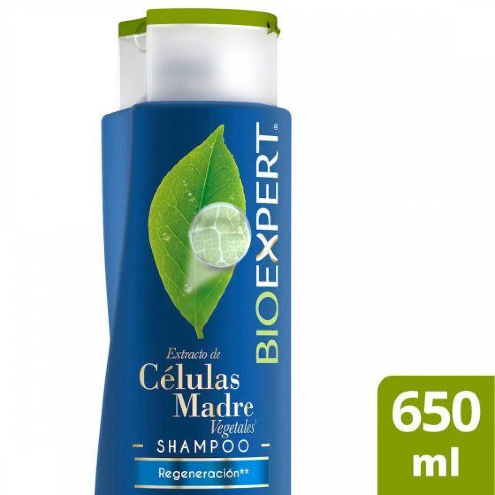 Shampoo Celulas Madre 650 ml 