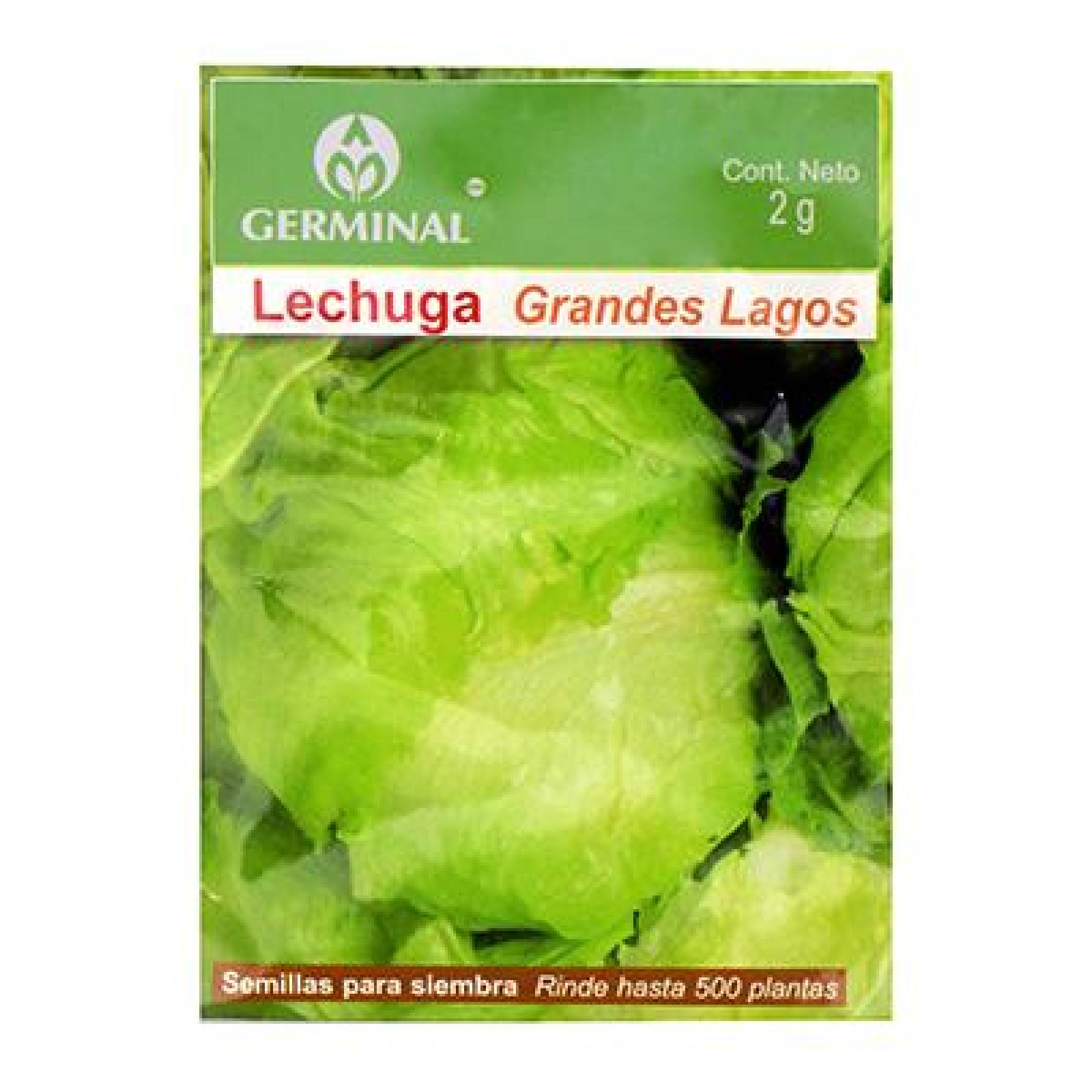 SEMILLAS PARA SIEMBRA LECHUGA 2 GR VERDE GERMINAL 