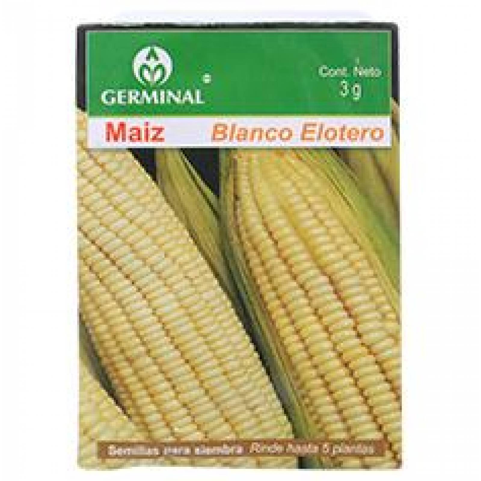 SEMILLAS DE MAÍZ ELOTERO 3 GR BLANCO GERMINAL 
