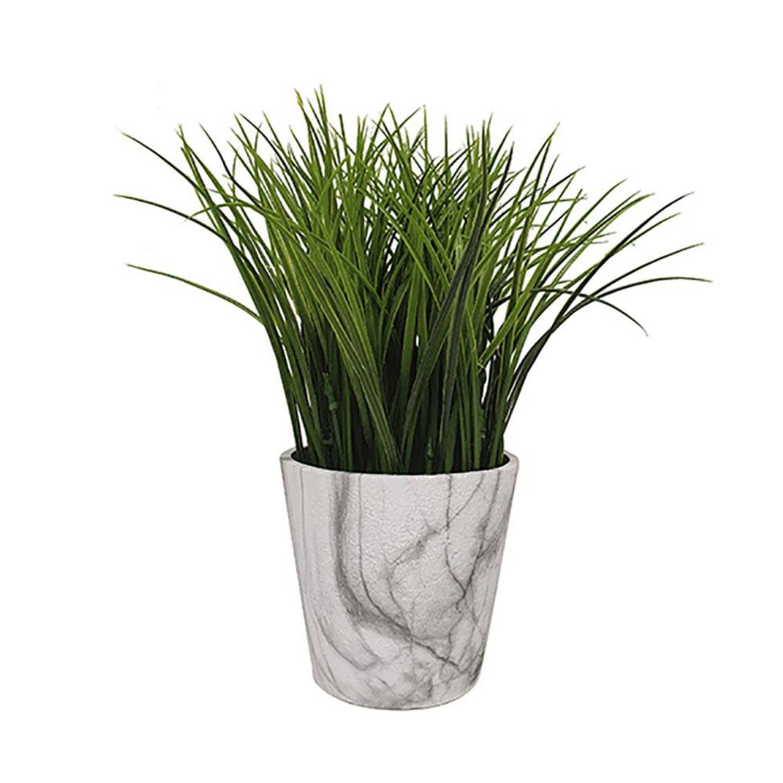 Planta Decorativa Pasto Largo Verde 