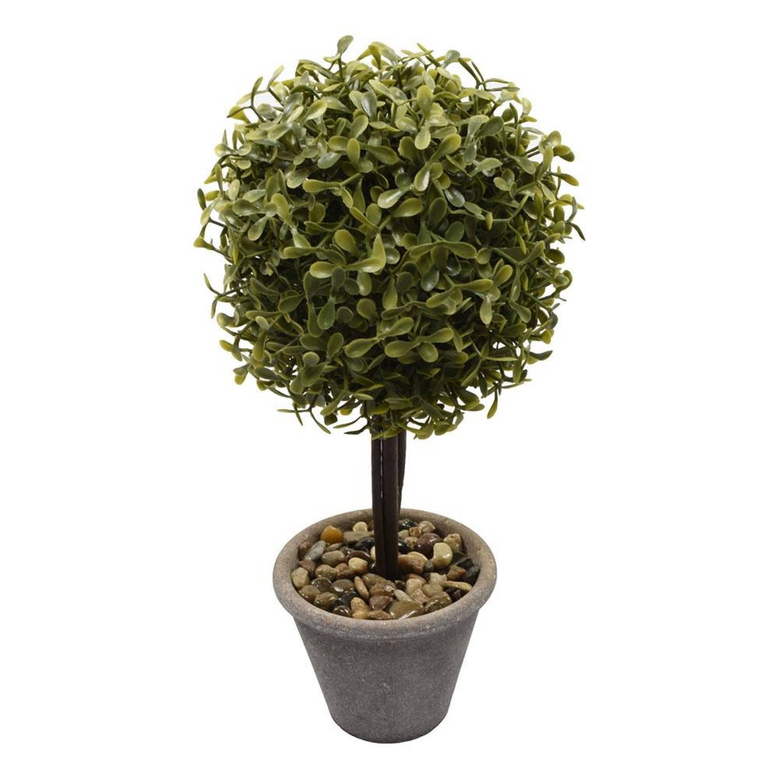 Planta Decorativa Verde Con Maceta 