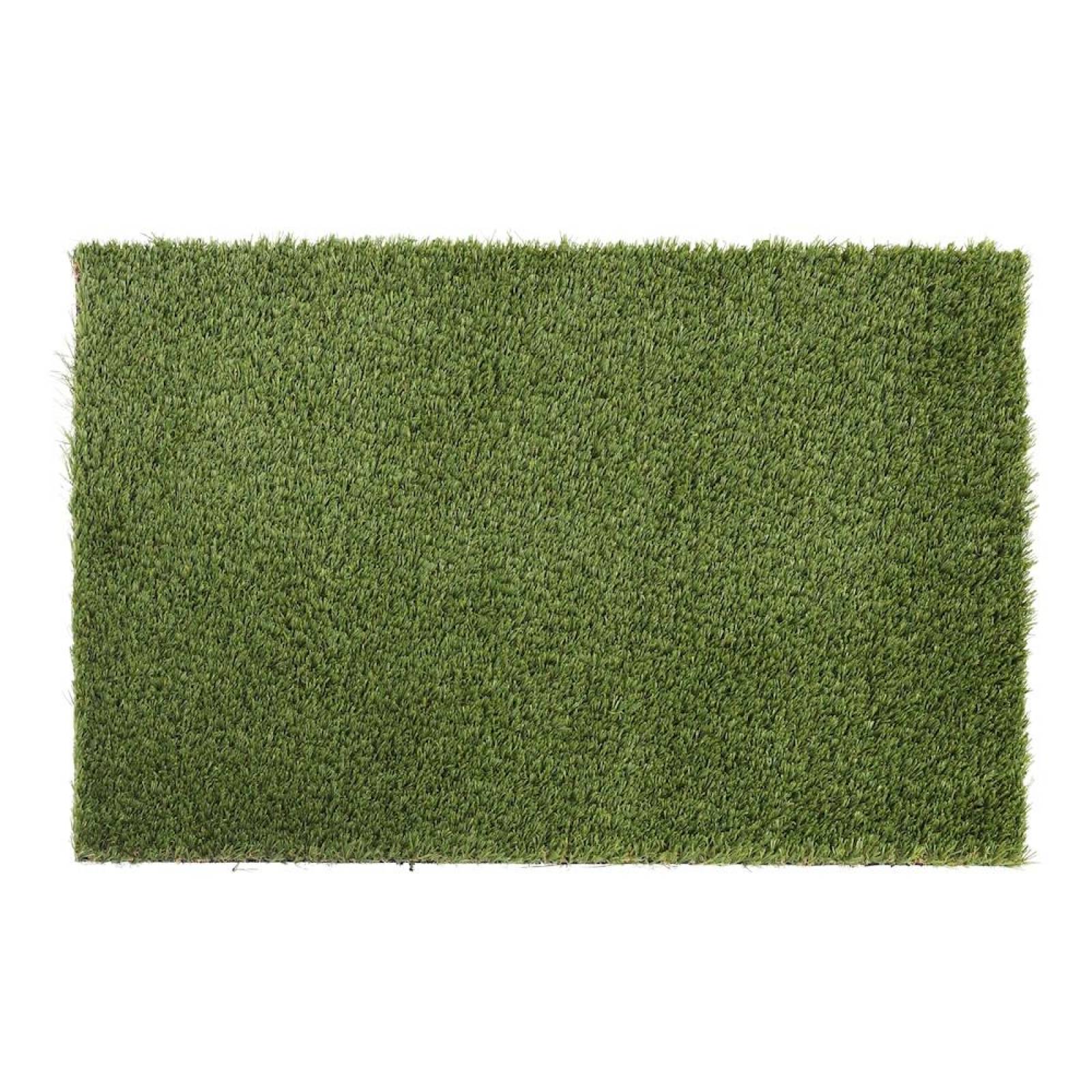 PASTO NASSAU 1.83 M DE ANCHO 