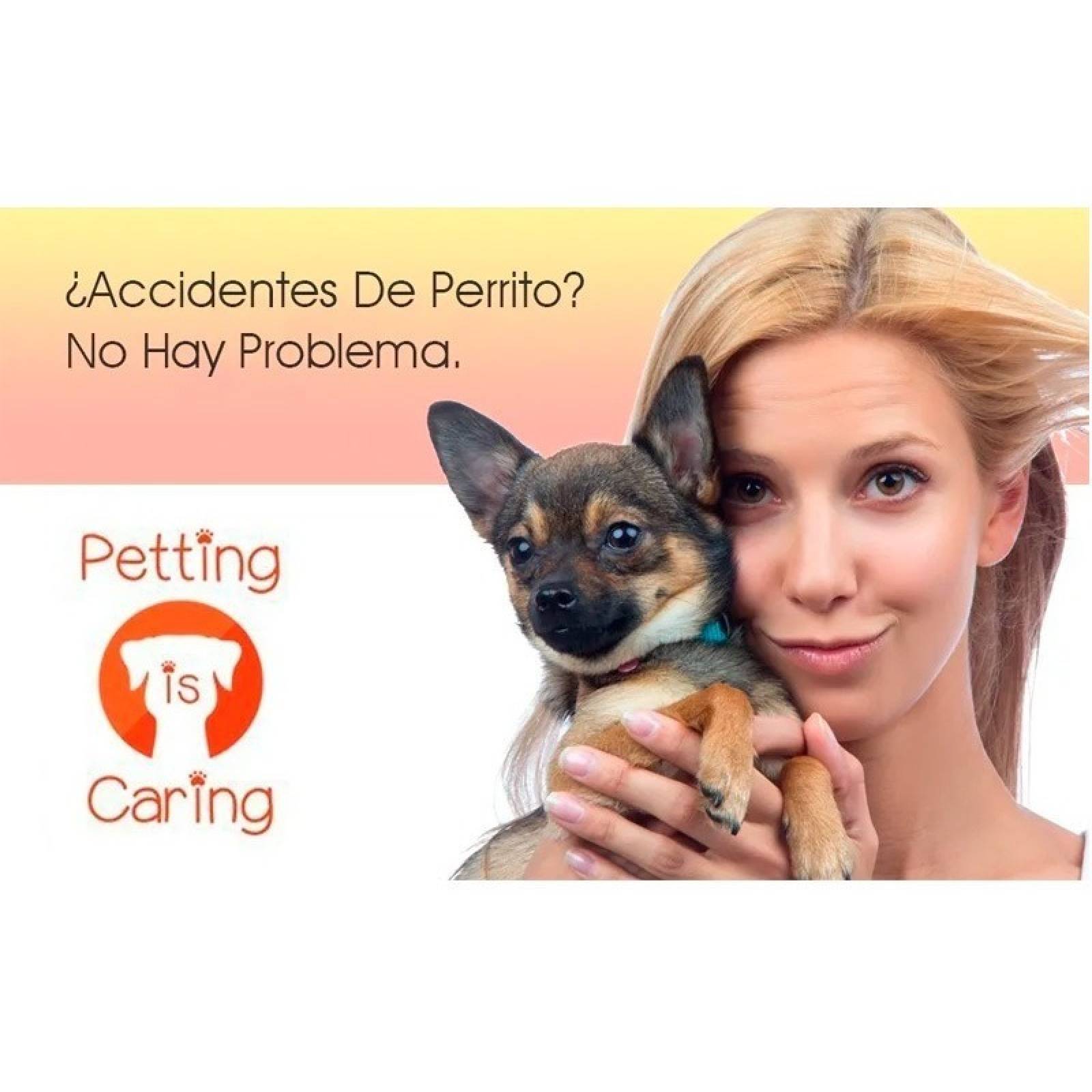 Pañales Lavables Y Reutilizables Para Perros Hembra 3 Unid 