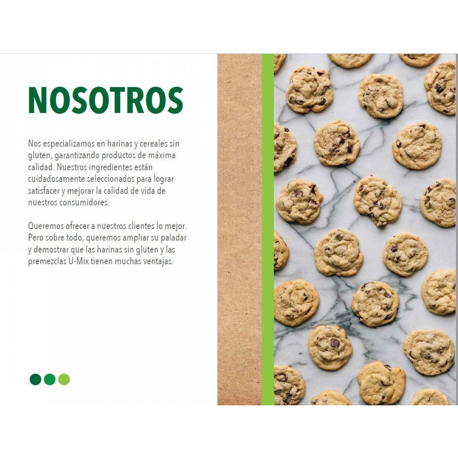 Harina Sin Gluten Para Hot Cakes Kosher 12x500g (6kg)