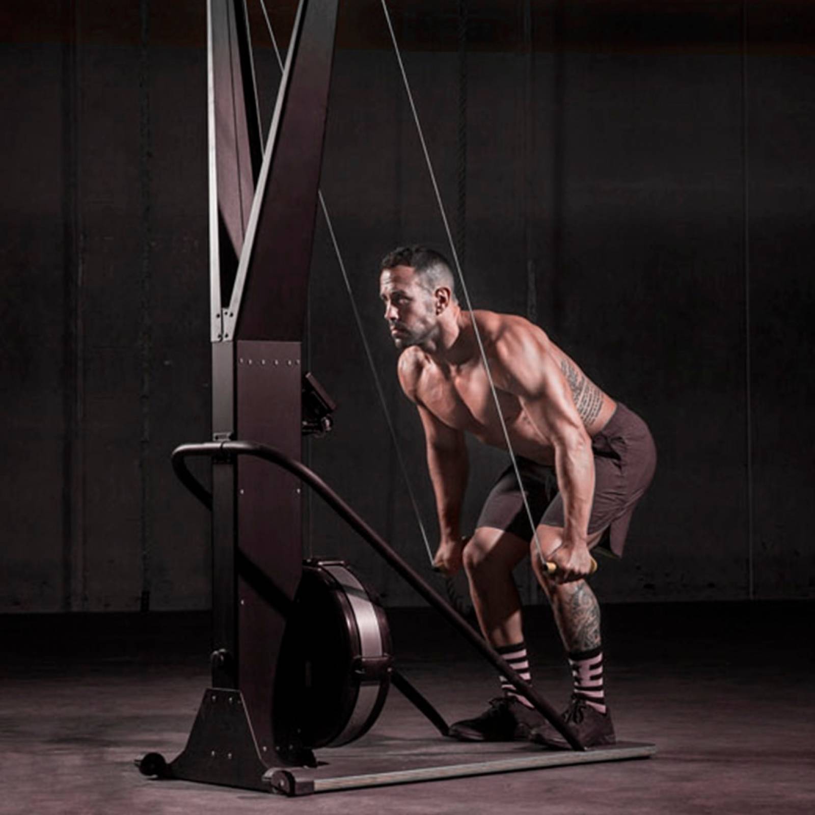 Remadora De Pie Starke Ski Machine Remadora Crossfit