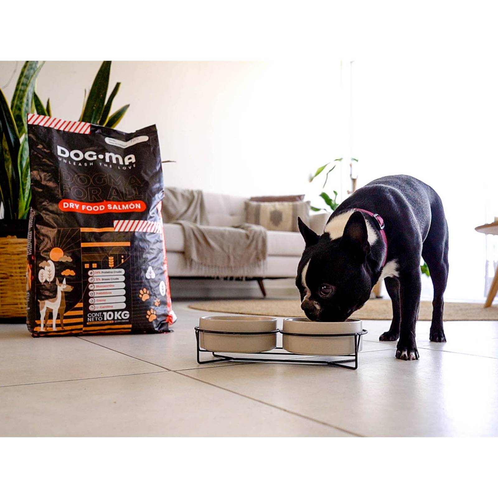 Alimento Dogma 10KG - Super Premium Nutrición Especializada