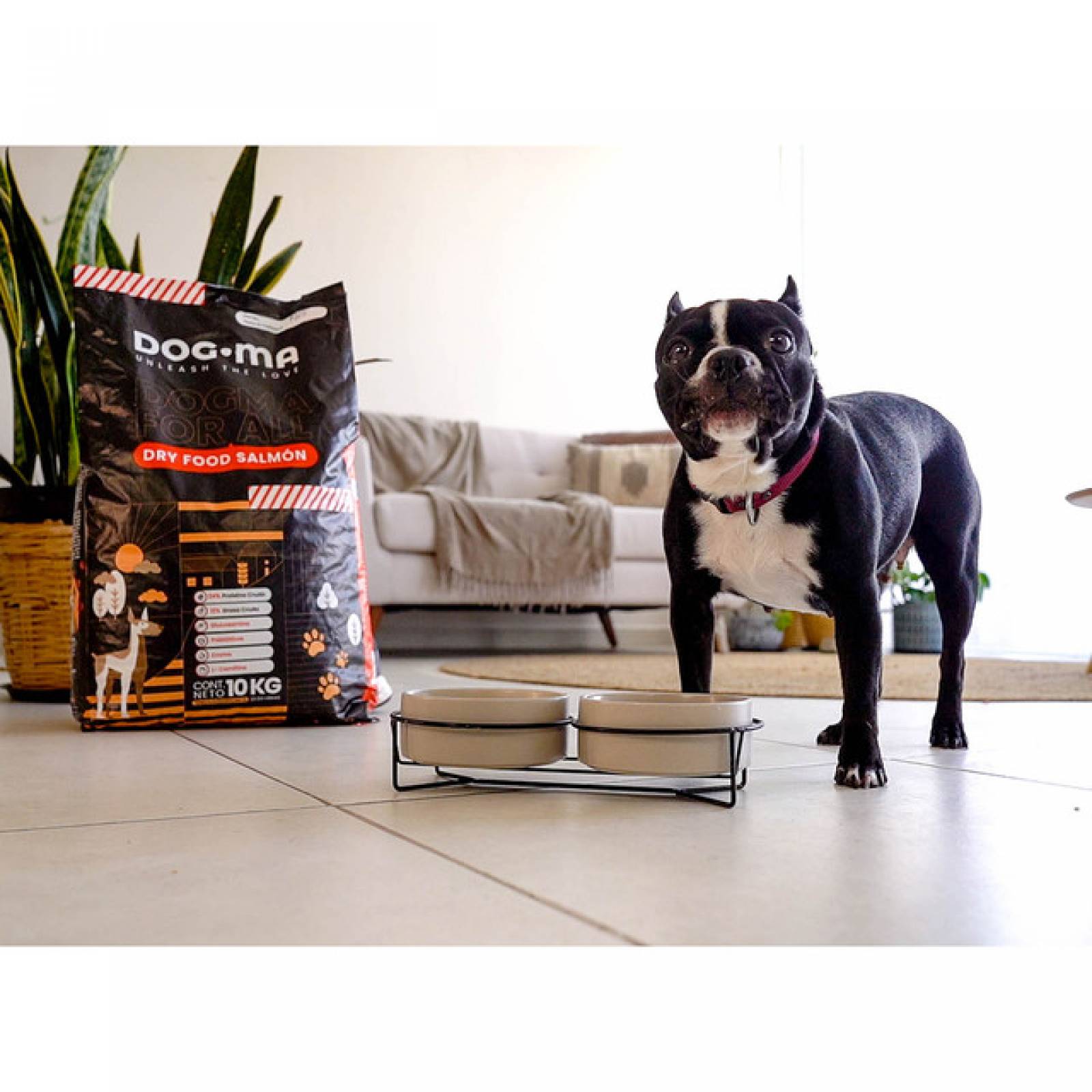 Alimento Dogma 10KG - Super Premium Nutrición Especializada