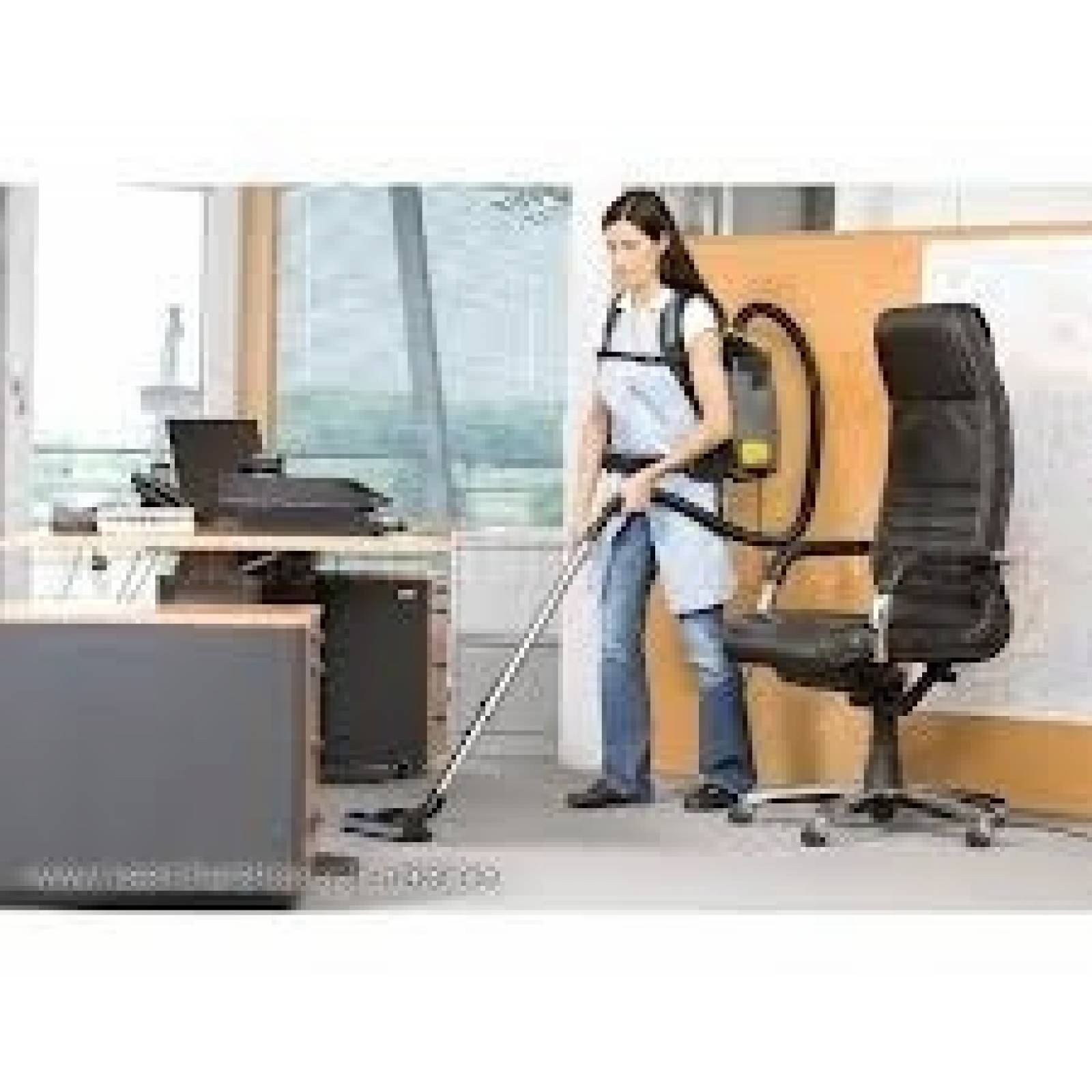 Aspiradora Industrial Karcher En Seco Tipo Mochila  Bv 5/1 