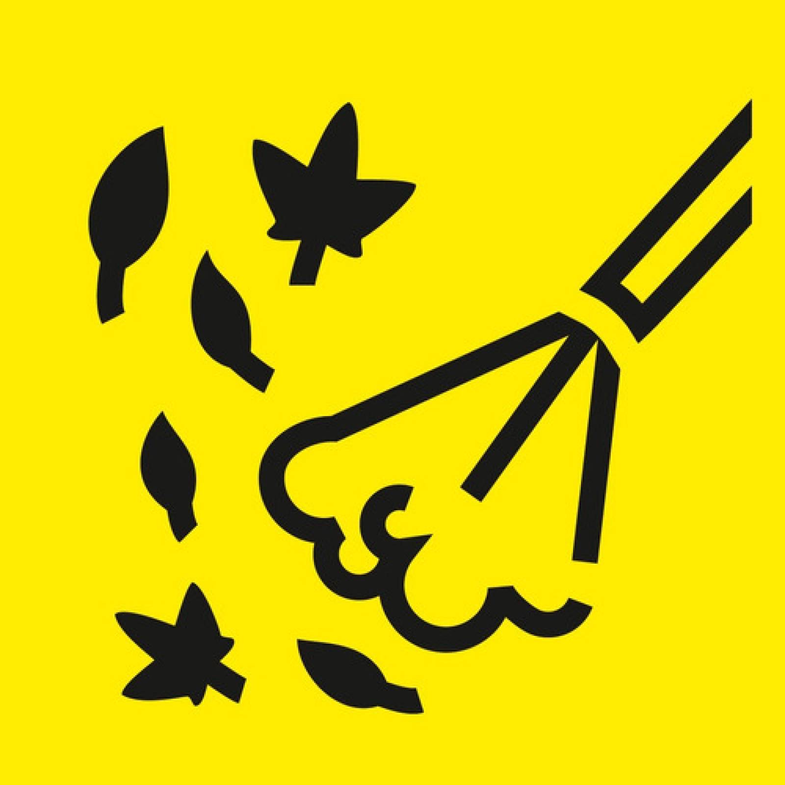 Aspiradora Sopladora Karcher Polvo Agua Wd 3 Tienda Oficial