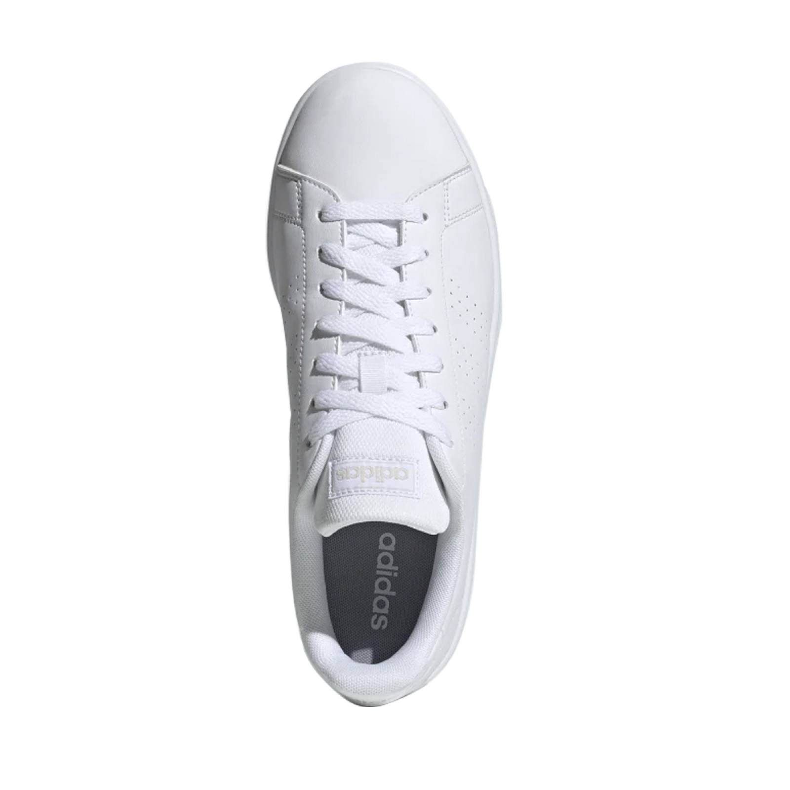 TENIS ADIDAS ADVANTAGE BASE CAB BCO EE7692