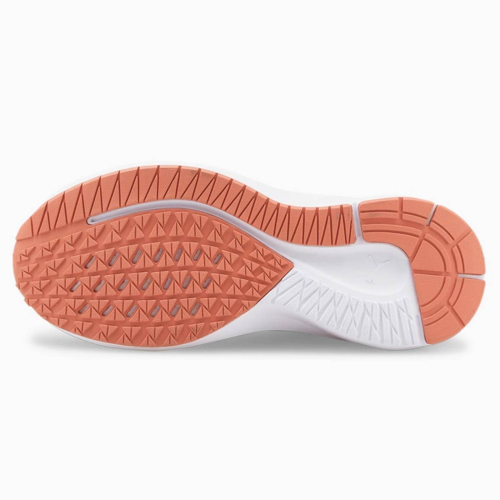 Tenis Puma Aviator Profoam SKY para Mujer 376615-07 