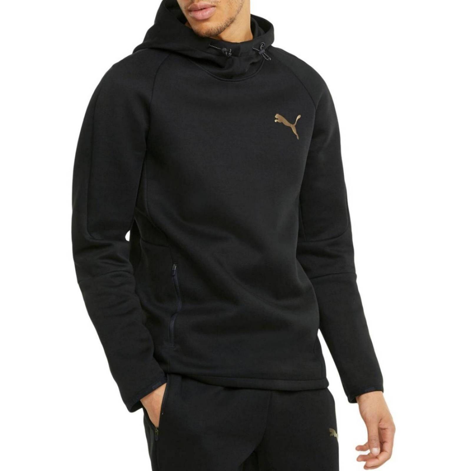 Puma evostripe hoodie mens hotsell