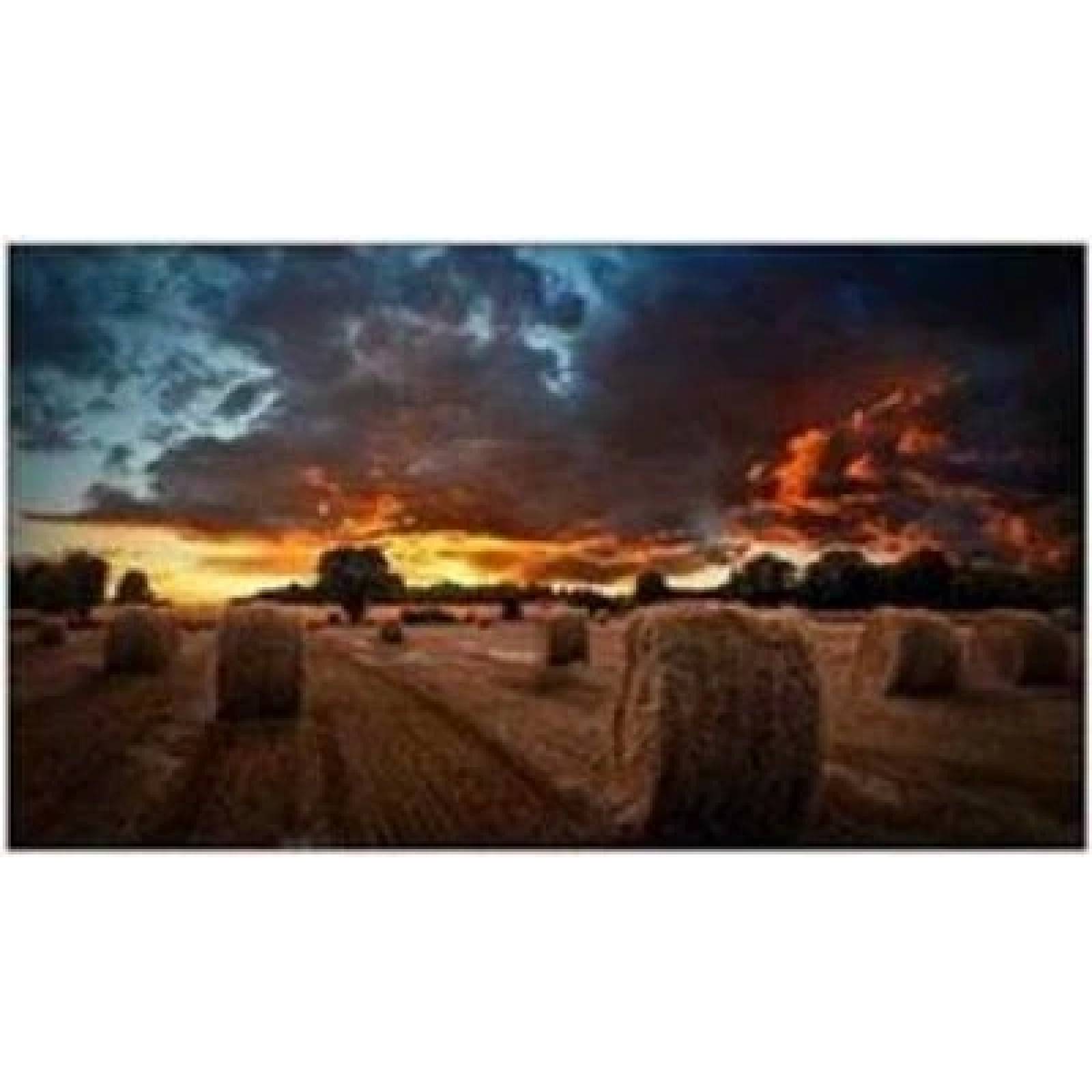 MONITOR PARA VIDEOWALL 55 VMTU.