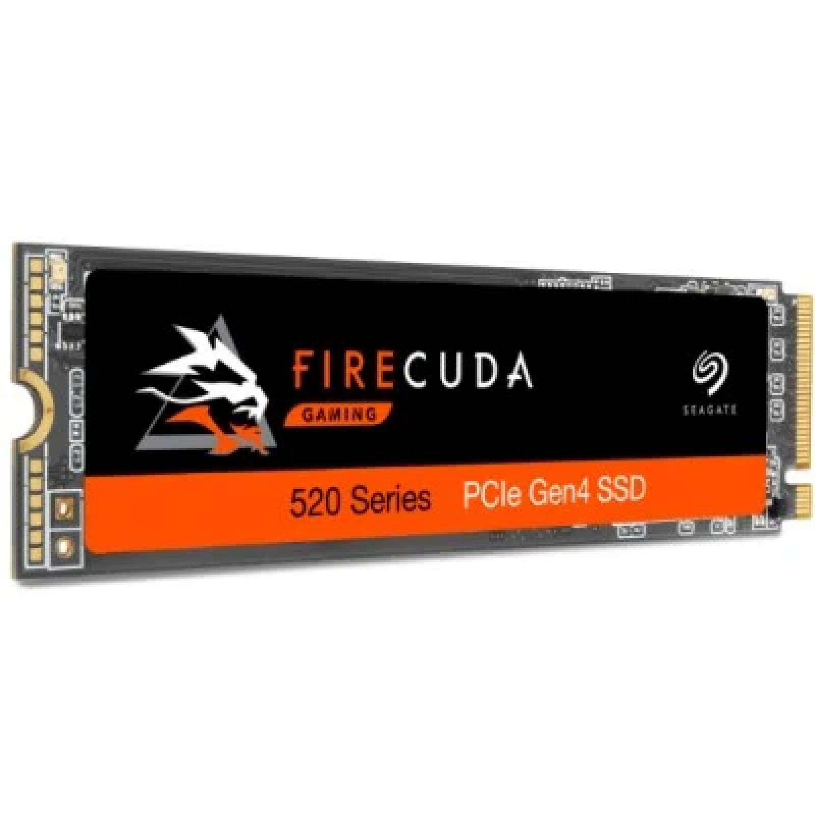 SSD SEAGATE ZP500GM3A002 - 500 GB