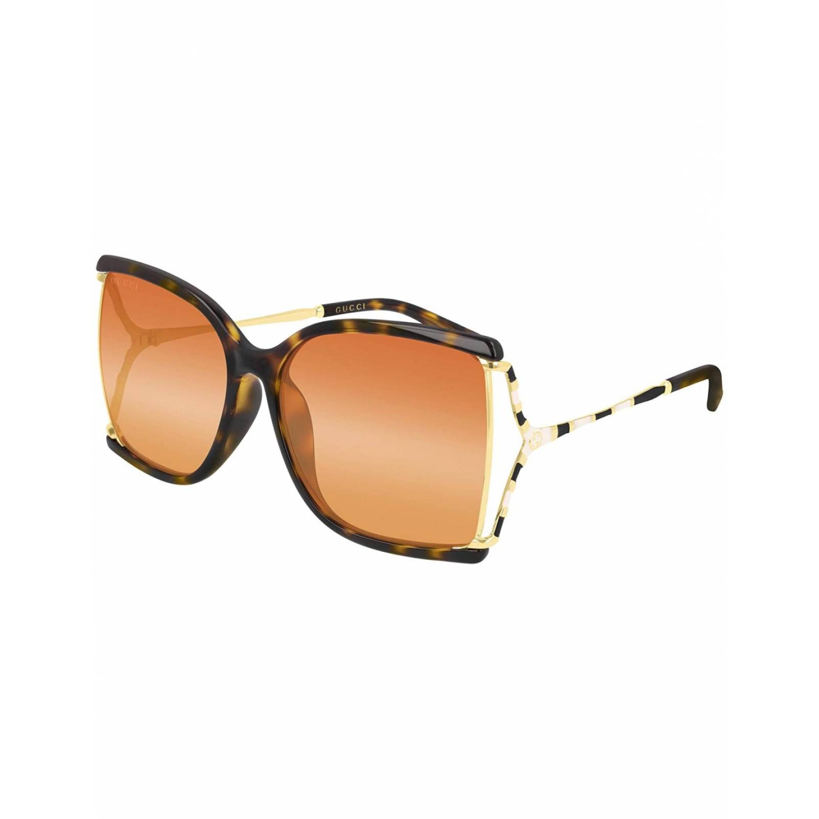 Lentes Gucci GG0592SK 003 Square Shape Cafe Carey Dorado