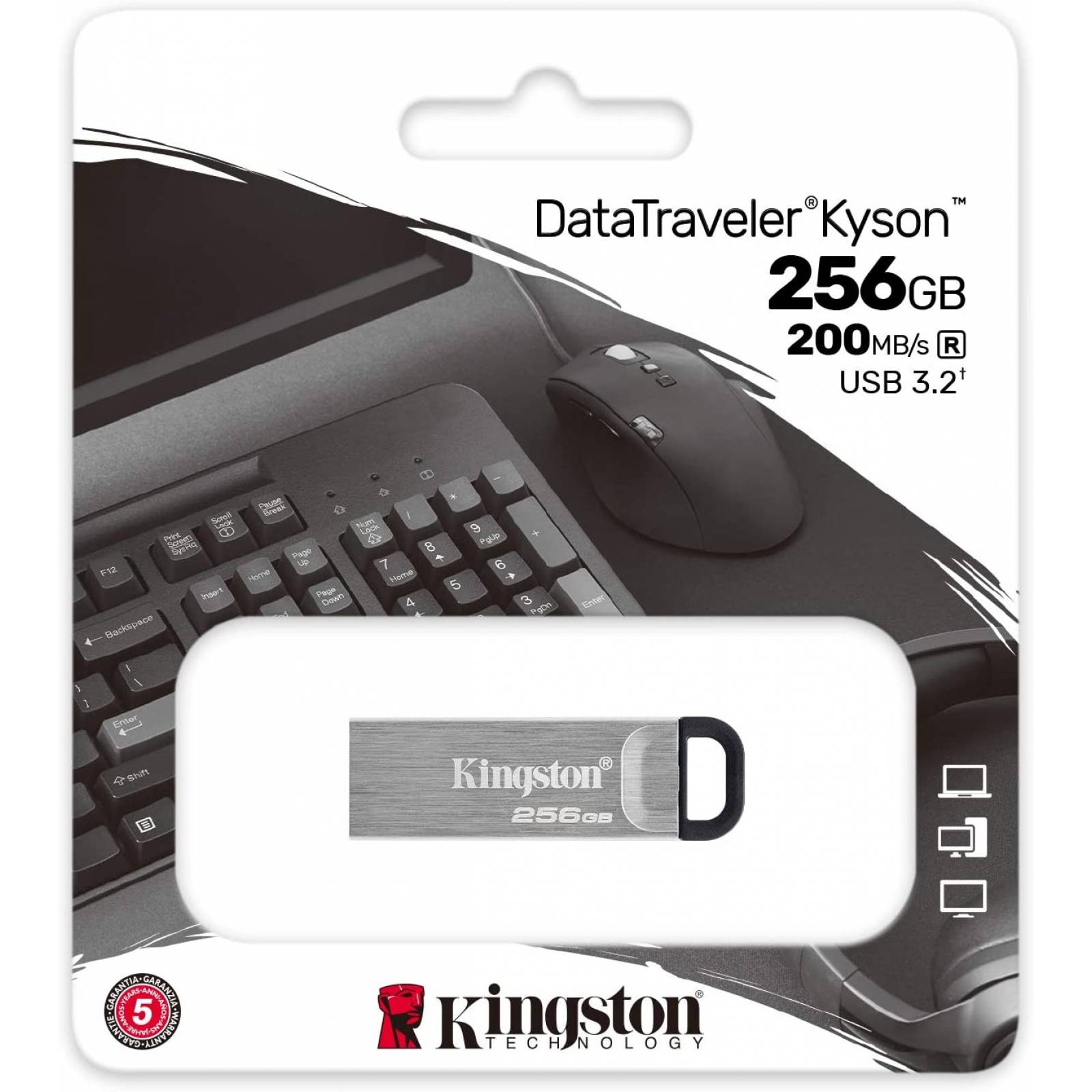 Memoria USB Kingston DataTraveler Kyson 256 GB 3.2 Gen1 Color Gris