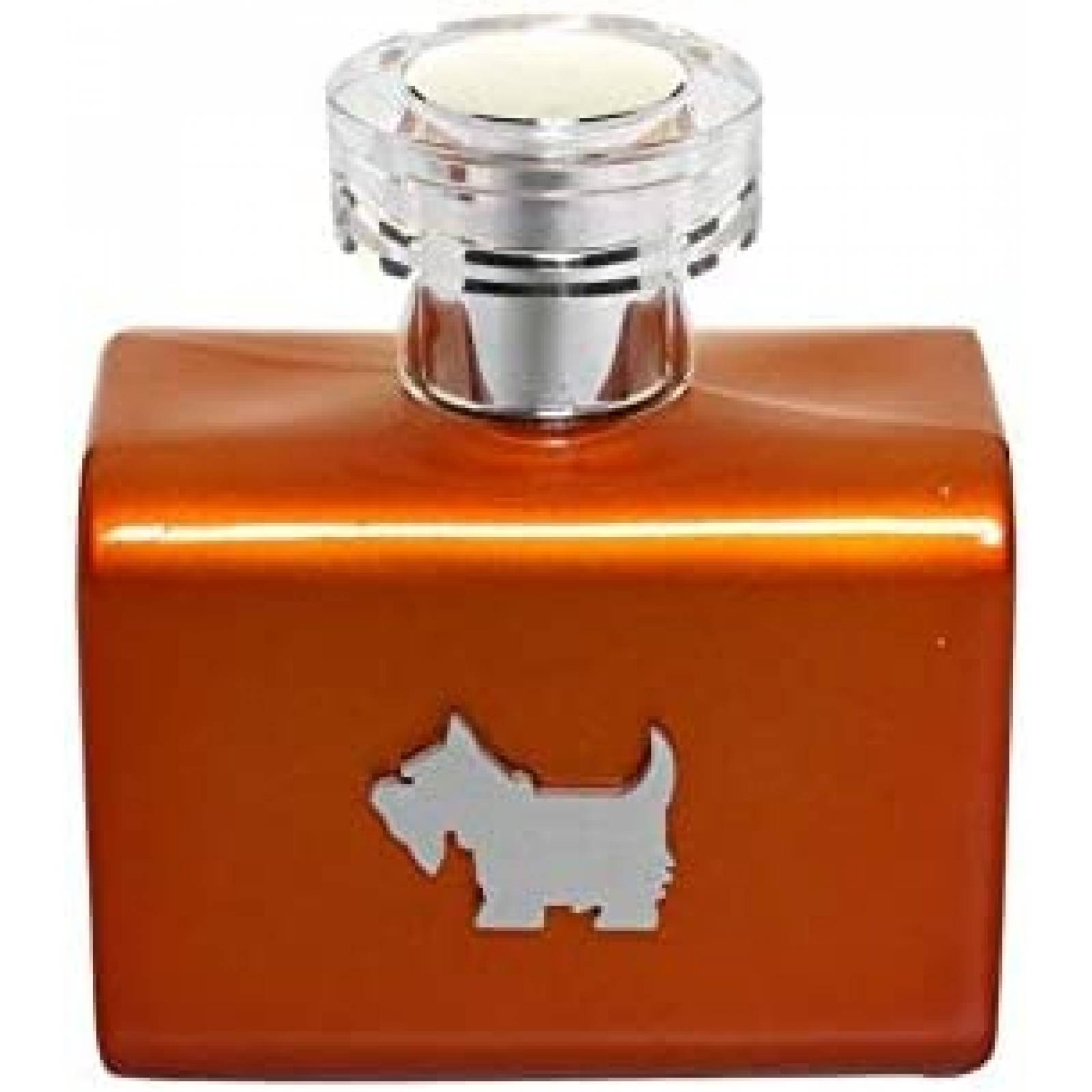 Ferrioni Orange Terrier de Ferrioni para Caballero Spray 100 ml