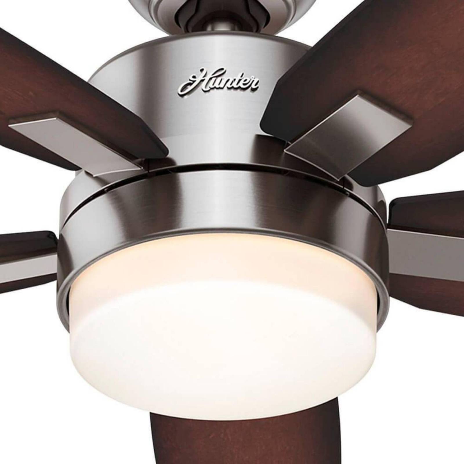 Ventilador De Techo Hunter 59039 Windemere-Brushed Nicke 54" 