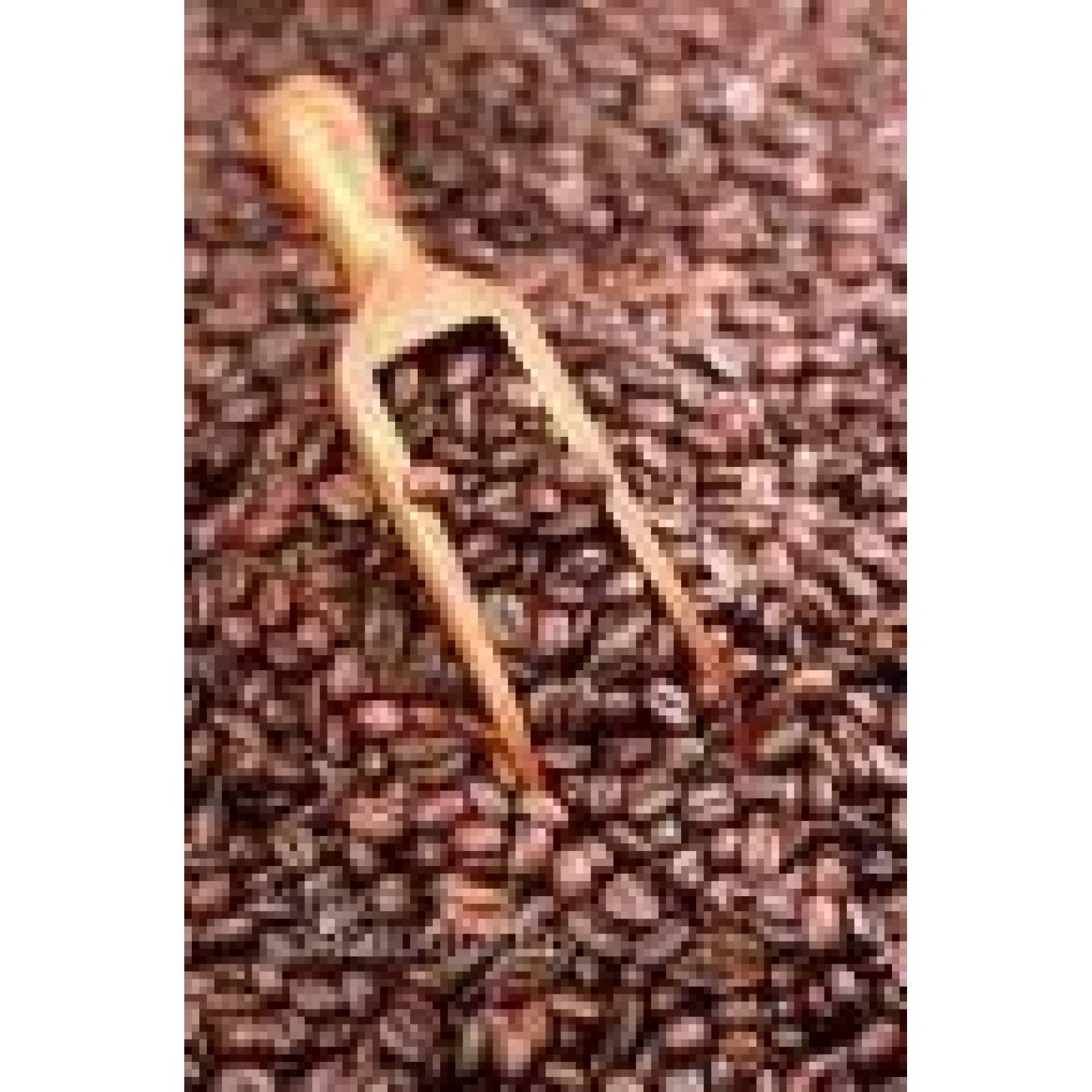 Café En Grano Chiapas Bolsa 1 Kg Café Boato 