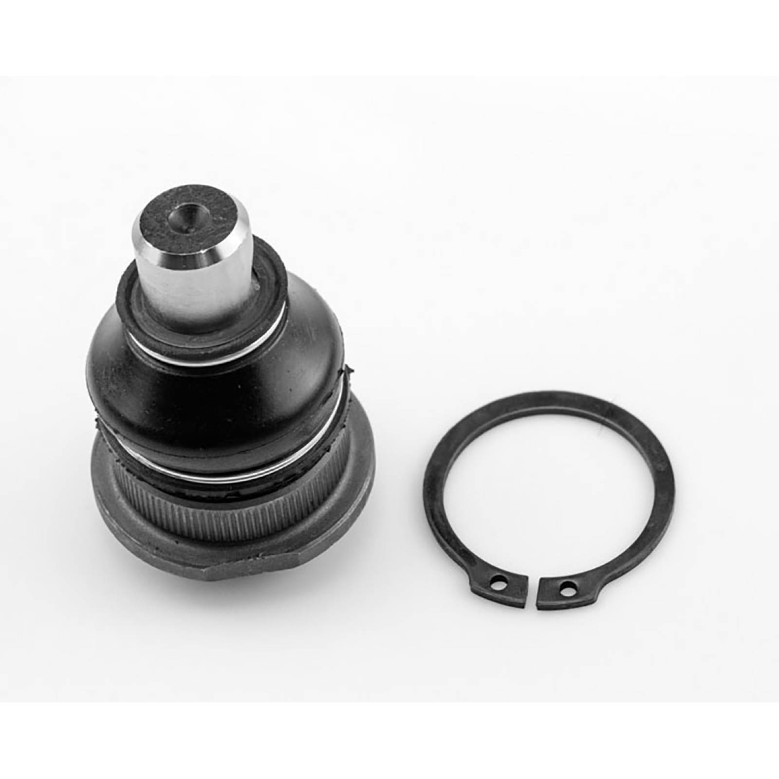 Rotula Logan Inferior