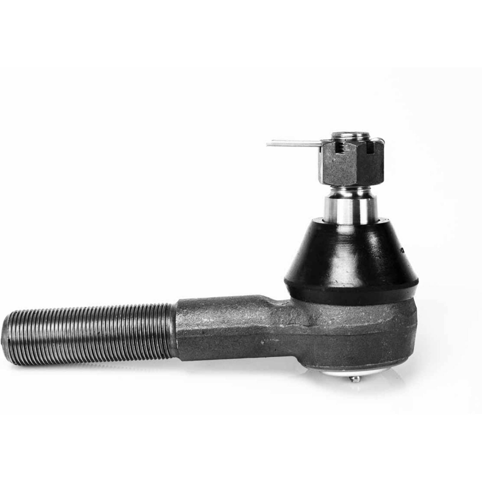 Terminal Autobus Dina Olimpico Avante Dorado Marco Polo