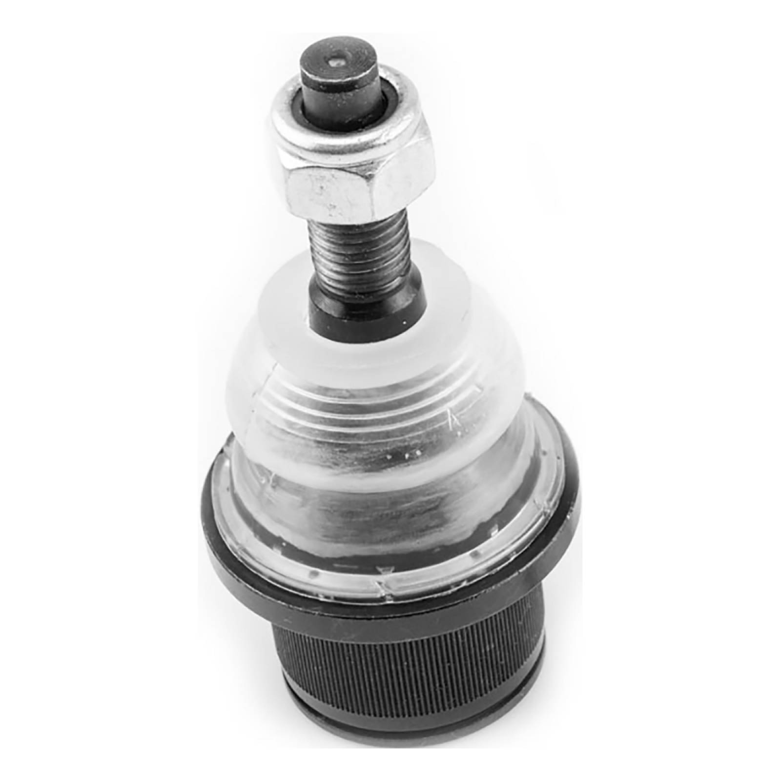 Rotula Raptor 2010-2014 Inf.