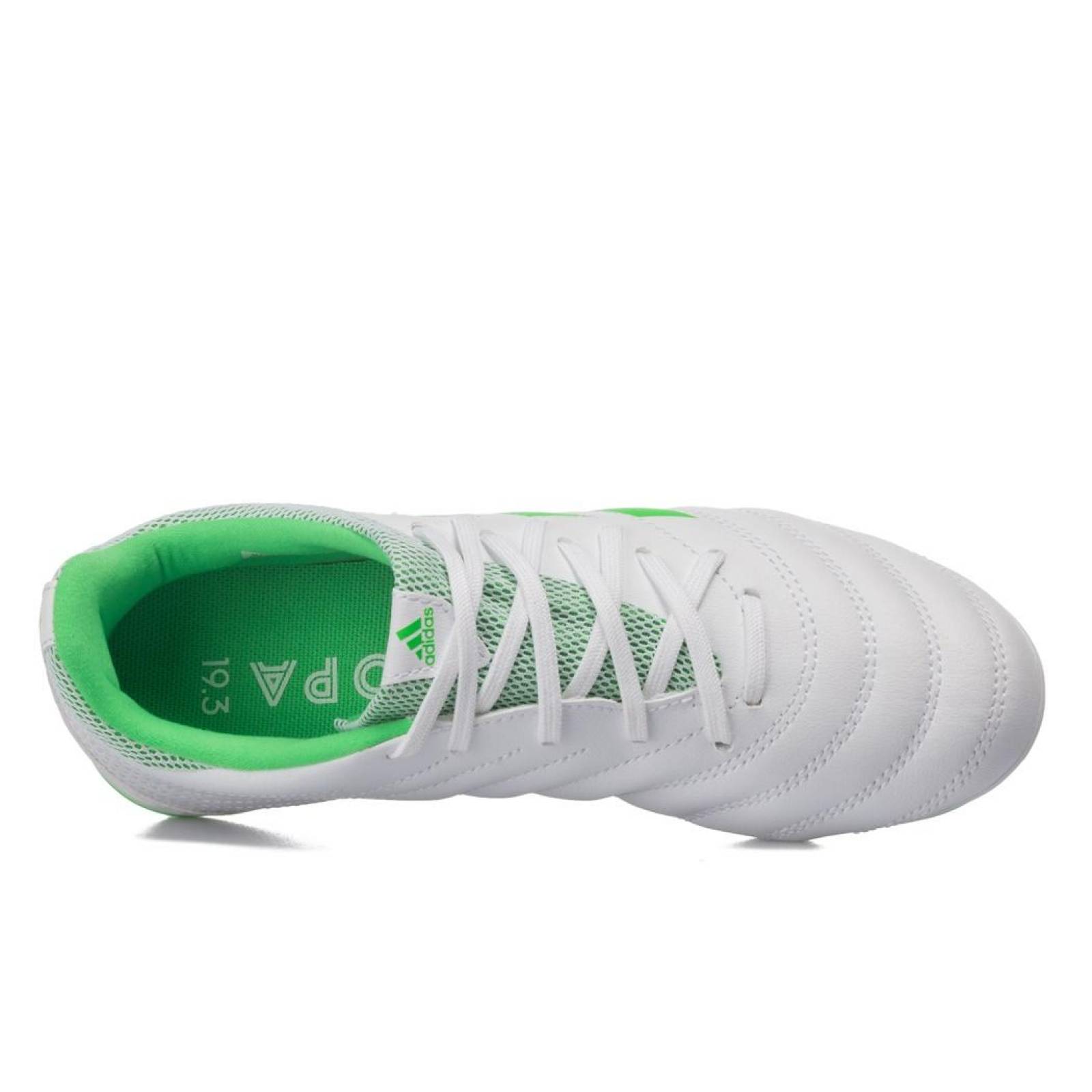 Taquetes Adidas Copa 19.3 Niño Futbol Césped Natural 