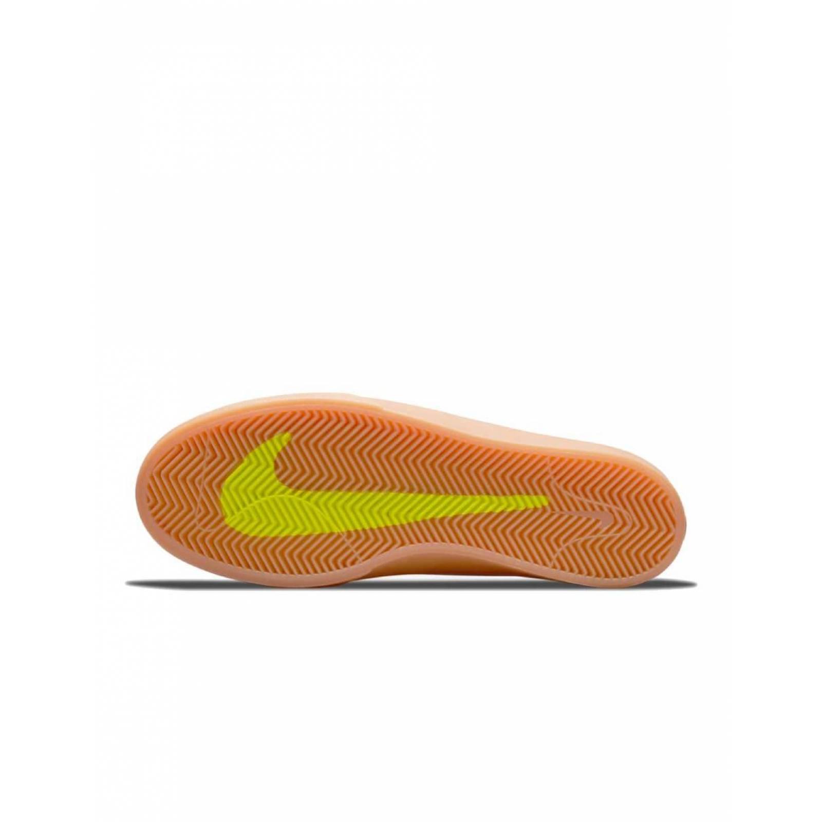 Tenis Nike SB Shane T Hombre Casual Urbano 