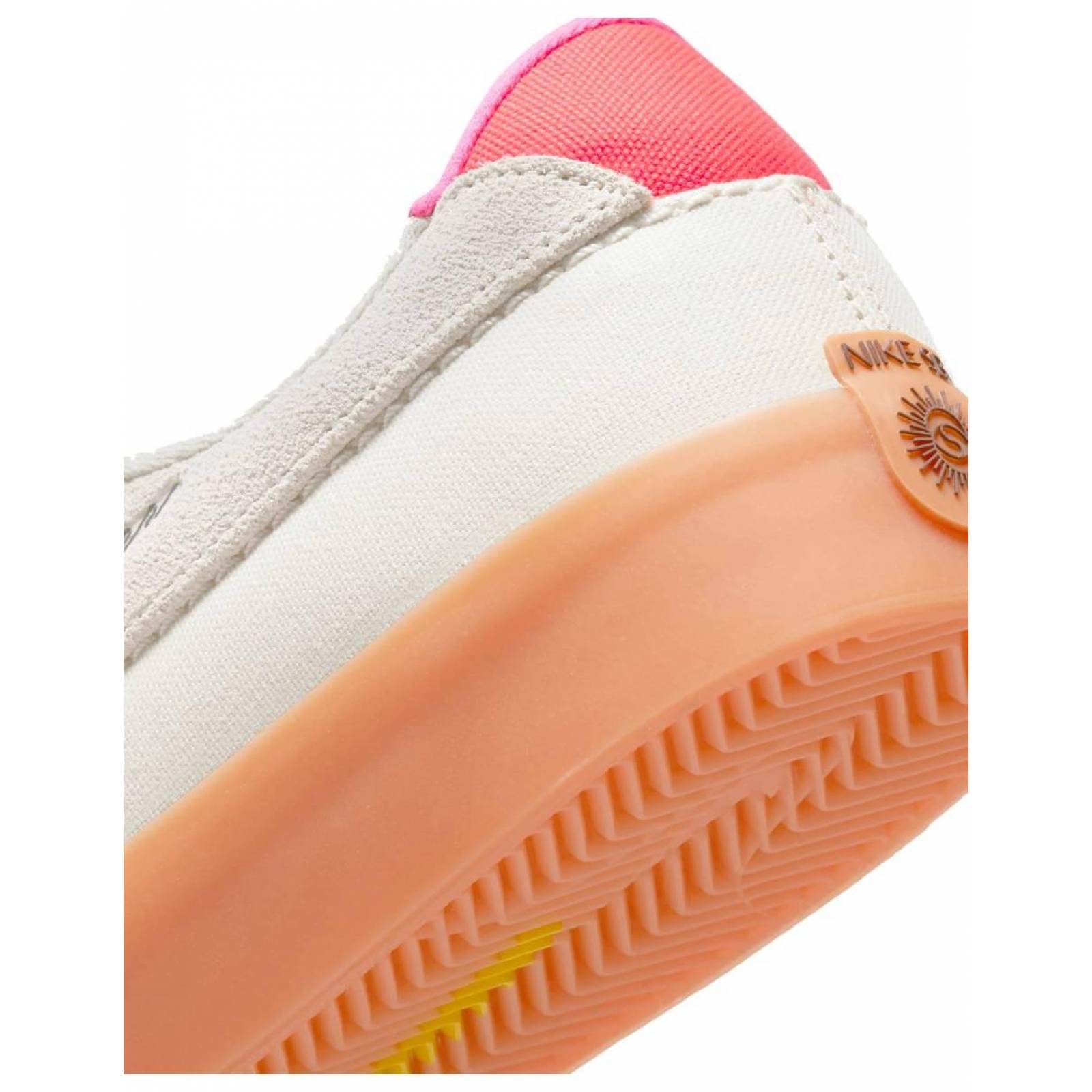 Tenis Nike SB Shane T Hombre Casual Urbano 