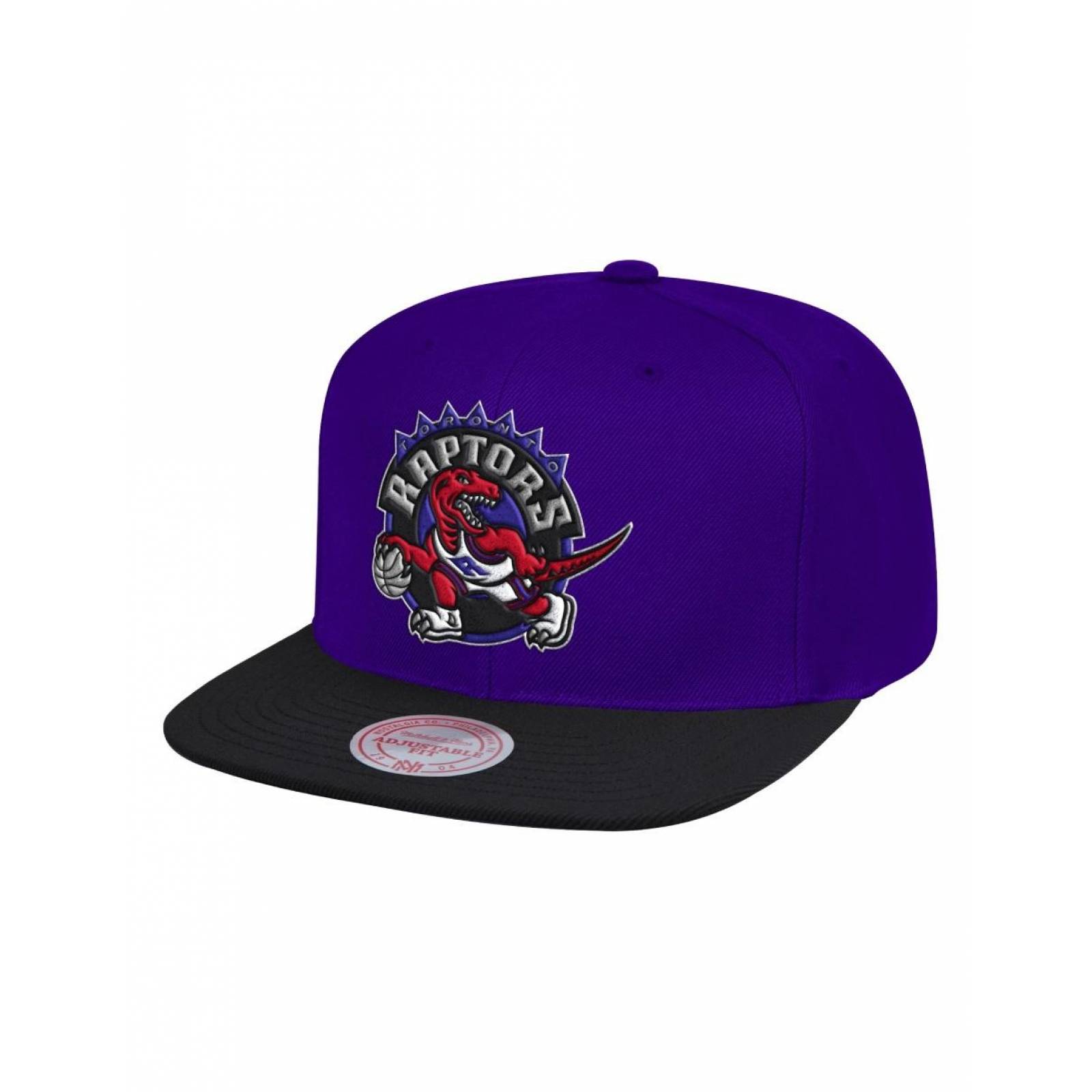 Gorra Mitchell and Ness 2Tone Toronto Raptors NBA Basquetbol Violeta UNITALLA