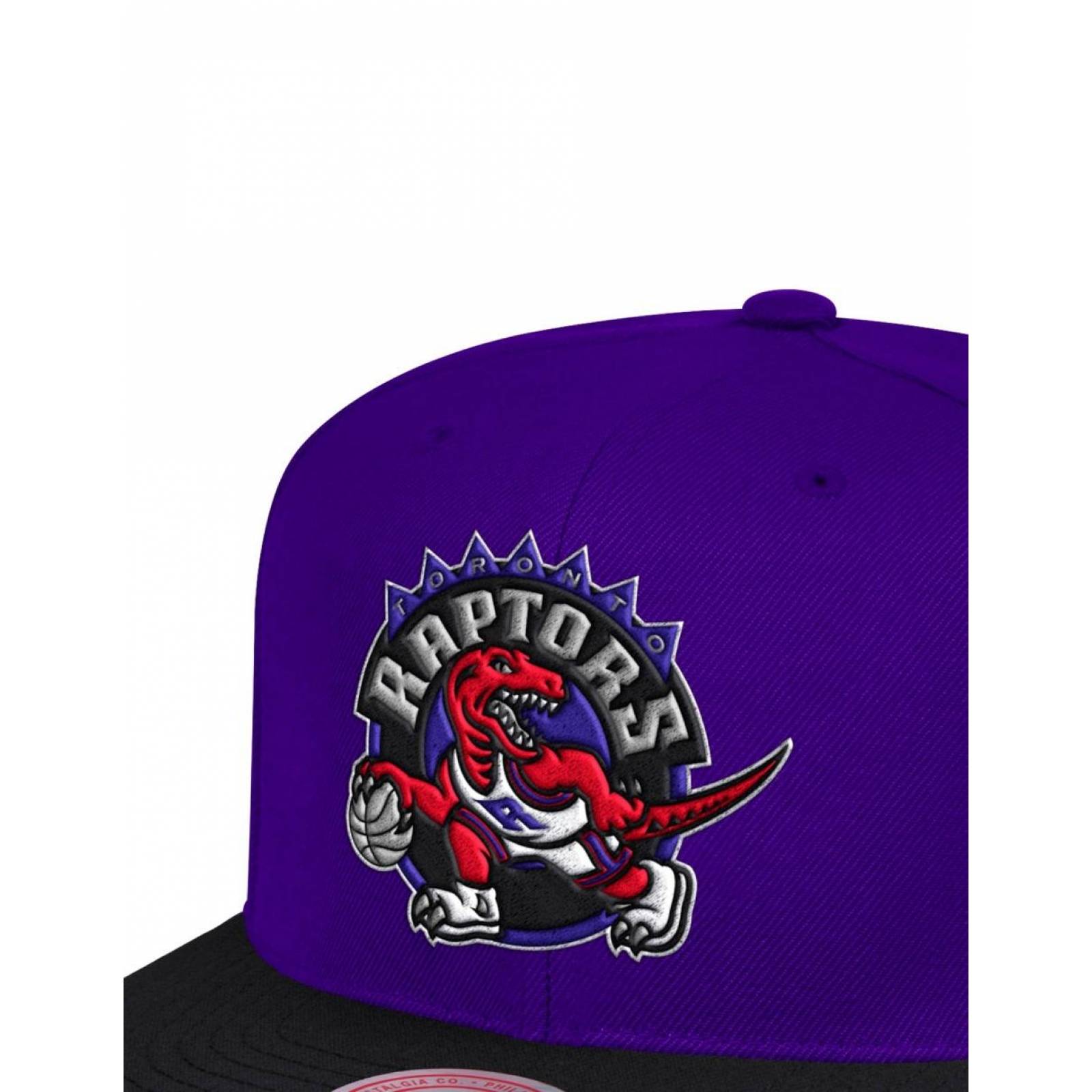Gorra Mitchell and Ness 2Tone Toronto Raptors NBA Basquetbol Violeta UNITALLA