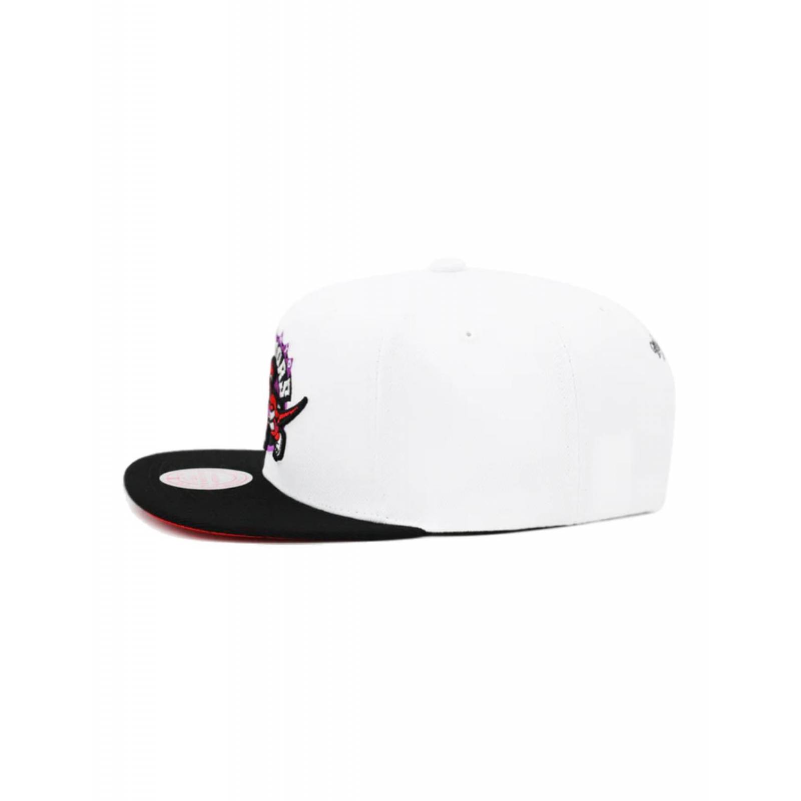 Gorra Mitchell & Ness Core Basics Toronto Raptors NBA Basquetbol 