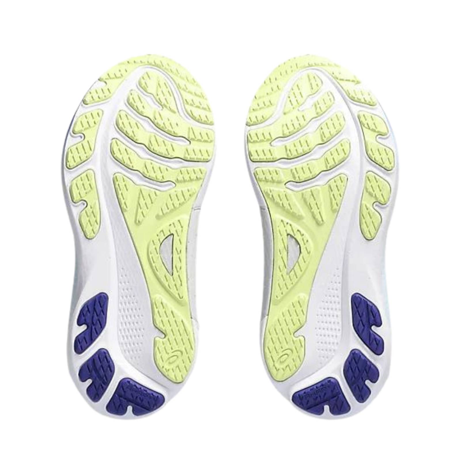 Tenis Asics Gel-Kayano 30 Mujer Running 