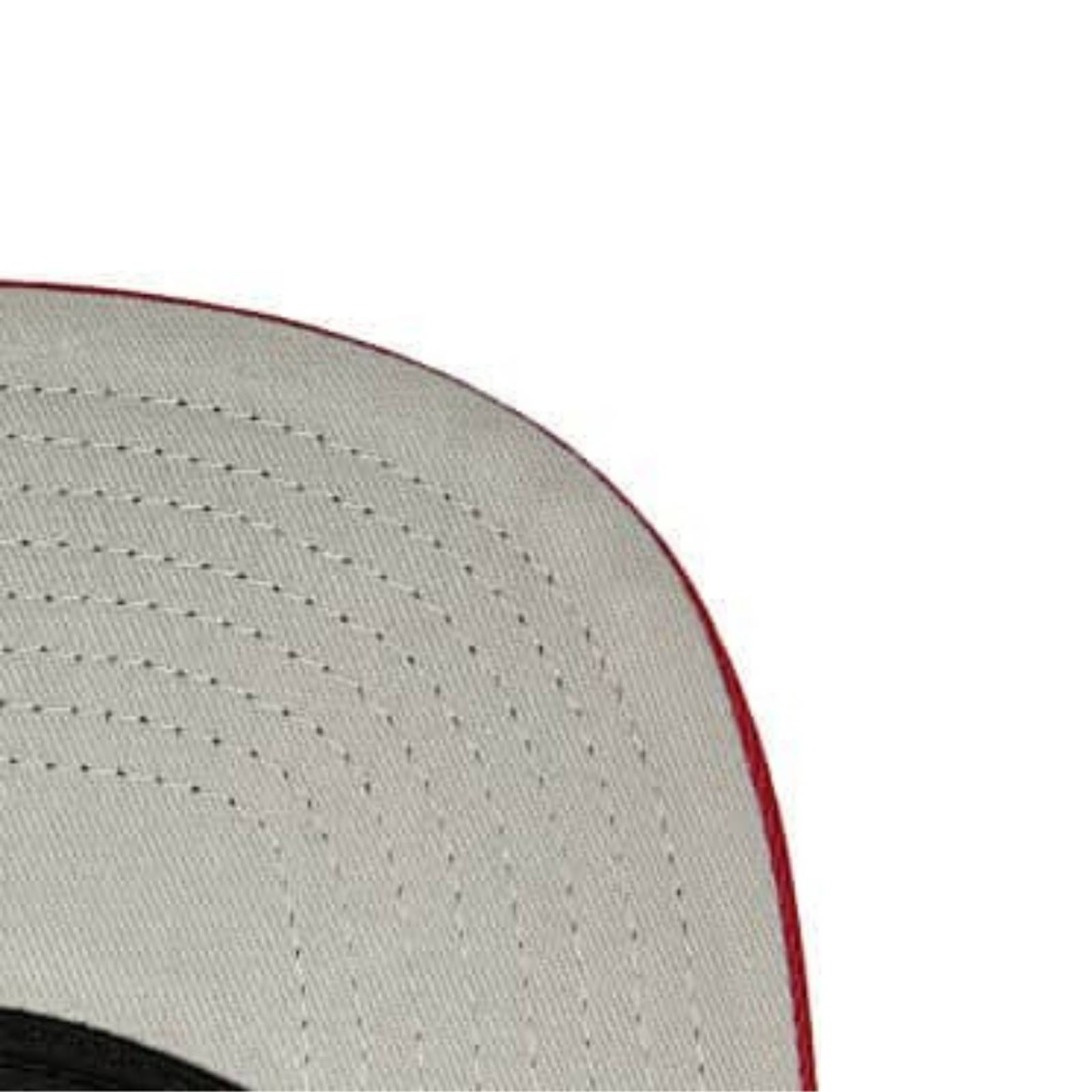 Gorra Mitchell & Ness Bulls Anime Basquetbol NBA 