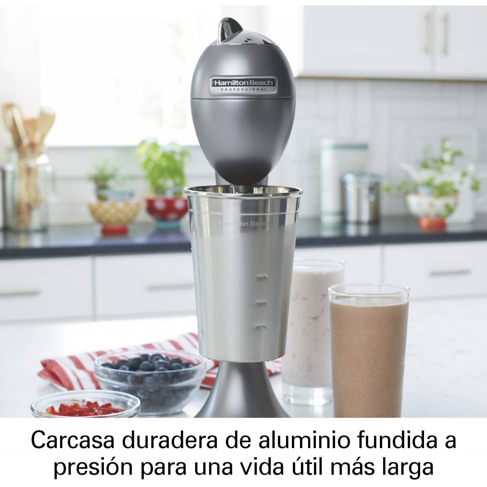 Fuente de sodas 65120 Hamilton Beach Professional