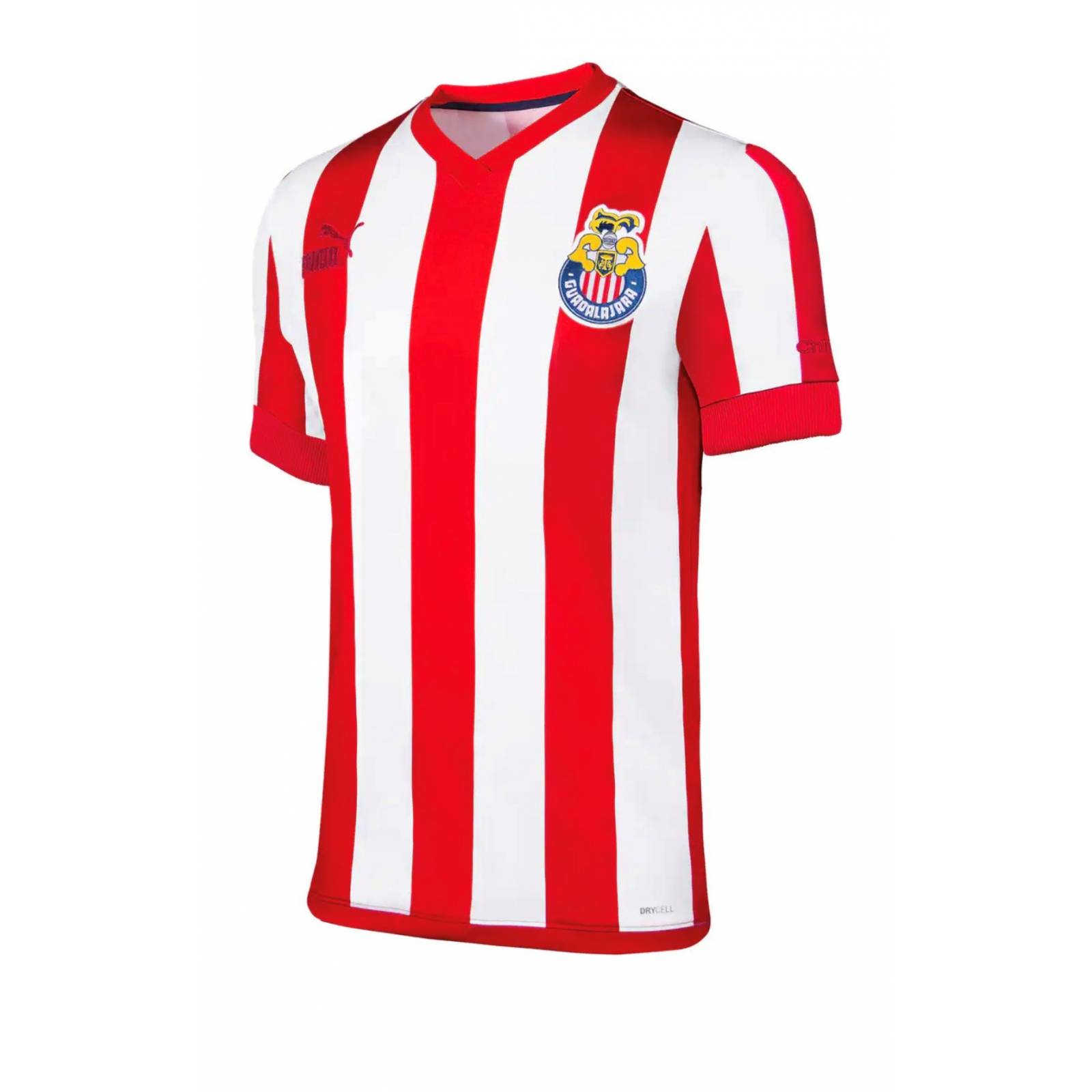 Jersey chivas puma 115 aniversario