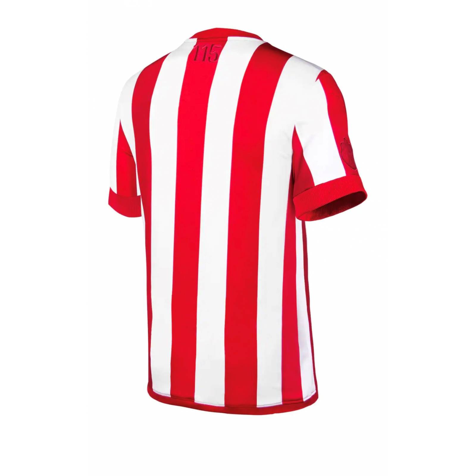 Jersey chivas puma 115 aniversario