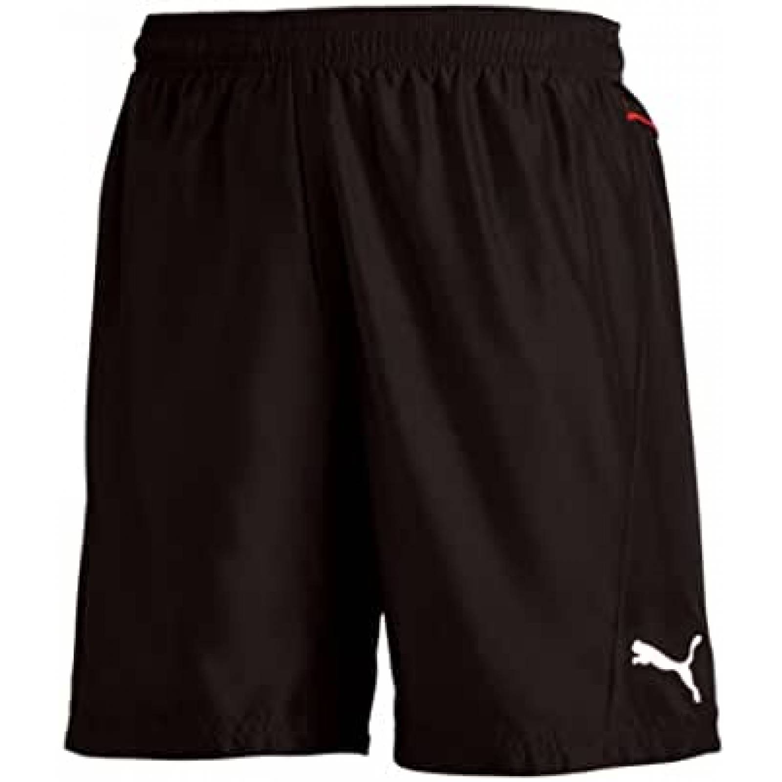 SHORT DEPORTIVO DE CABALLERO PUMA 653749 15