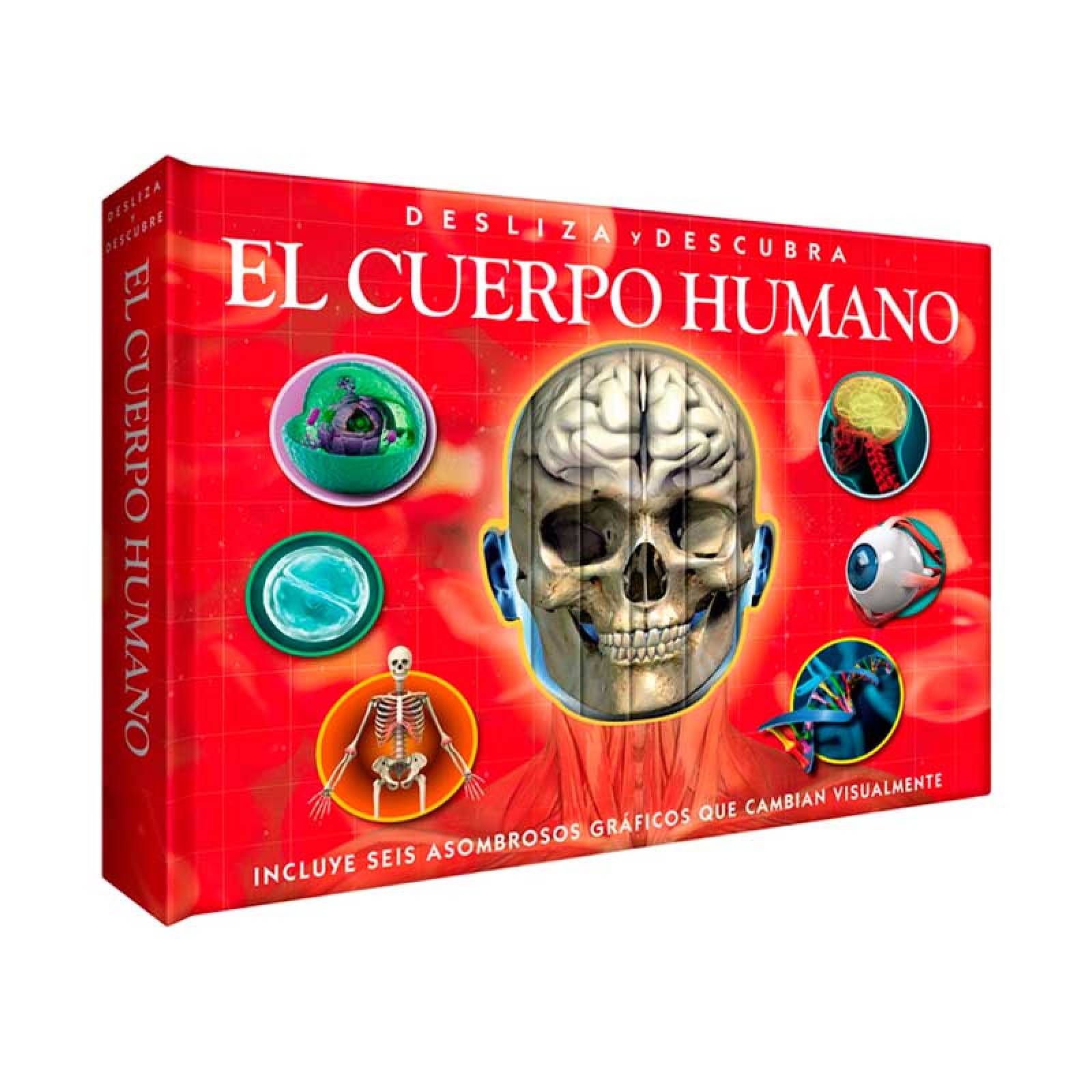 El Cuerpo Humano- Desliza Y Descubre