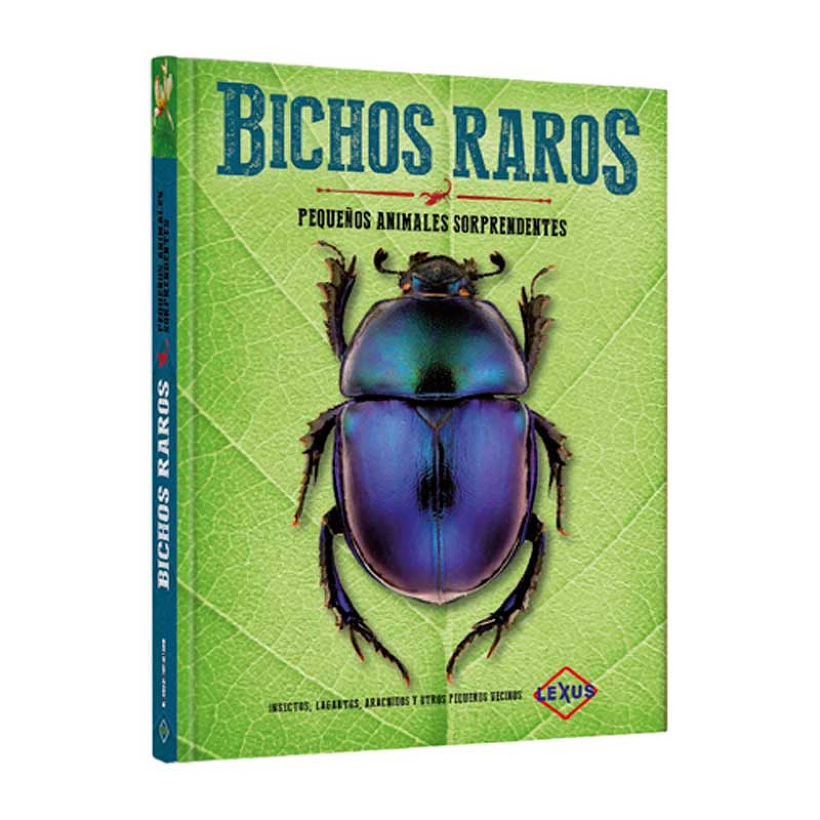 Bichos Raros Pequeños Animales Sorprendentes