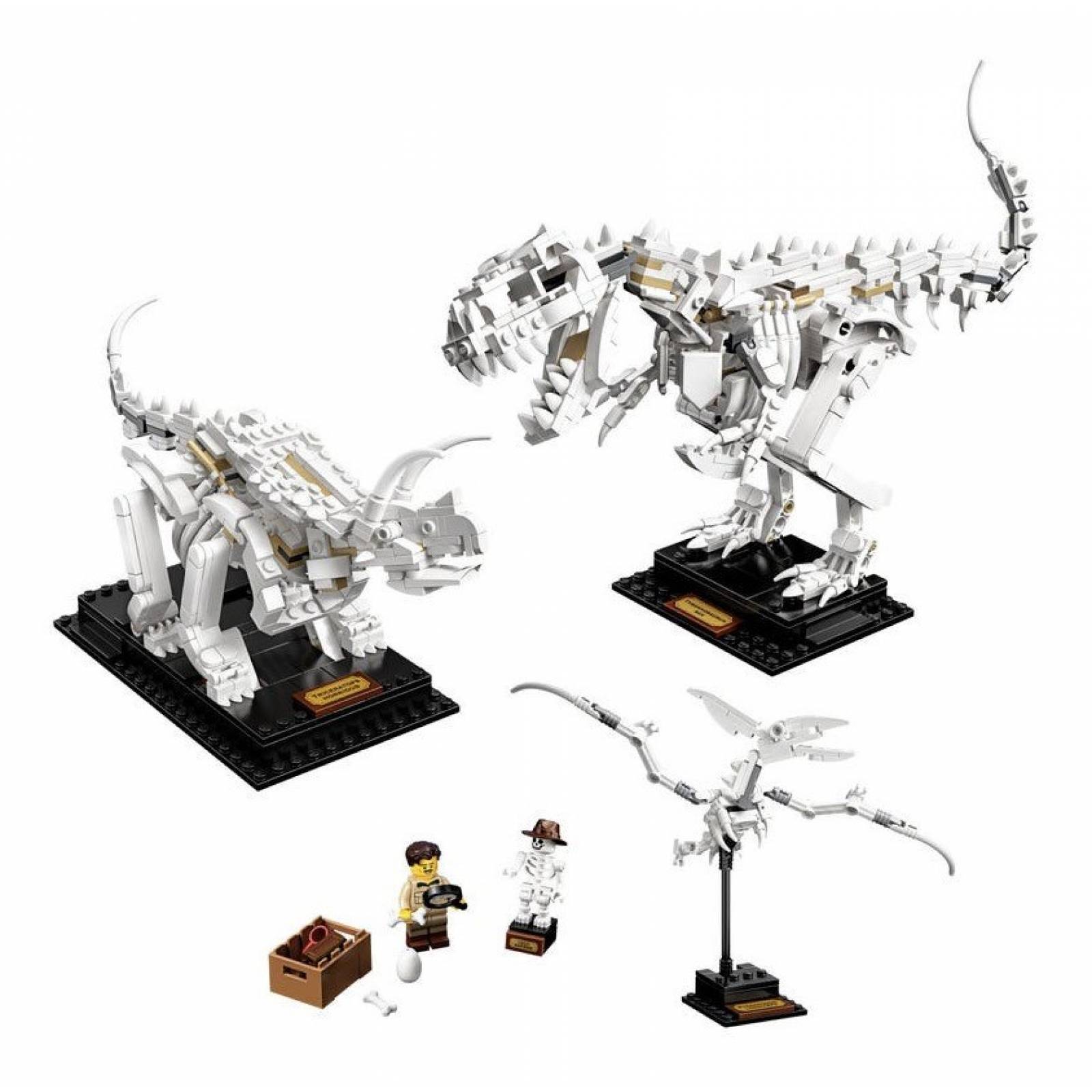 Lego 21320 Fósiles De Dinosaurio