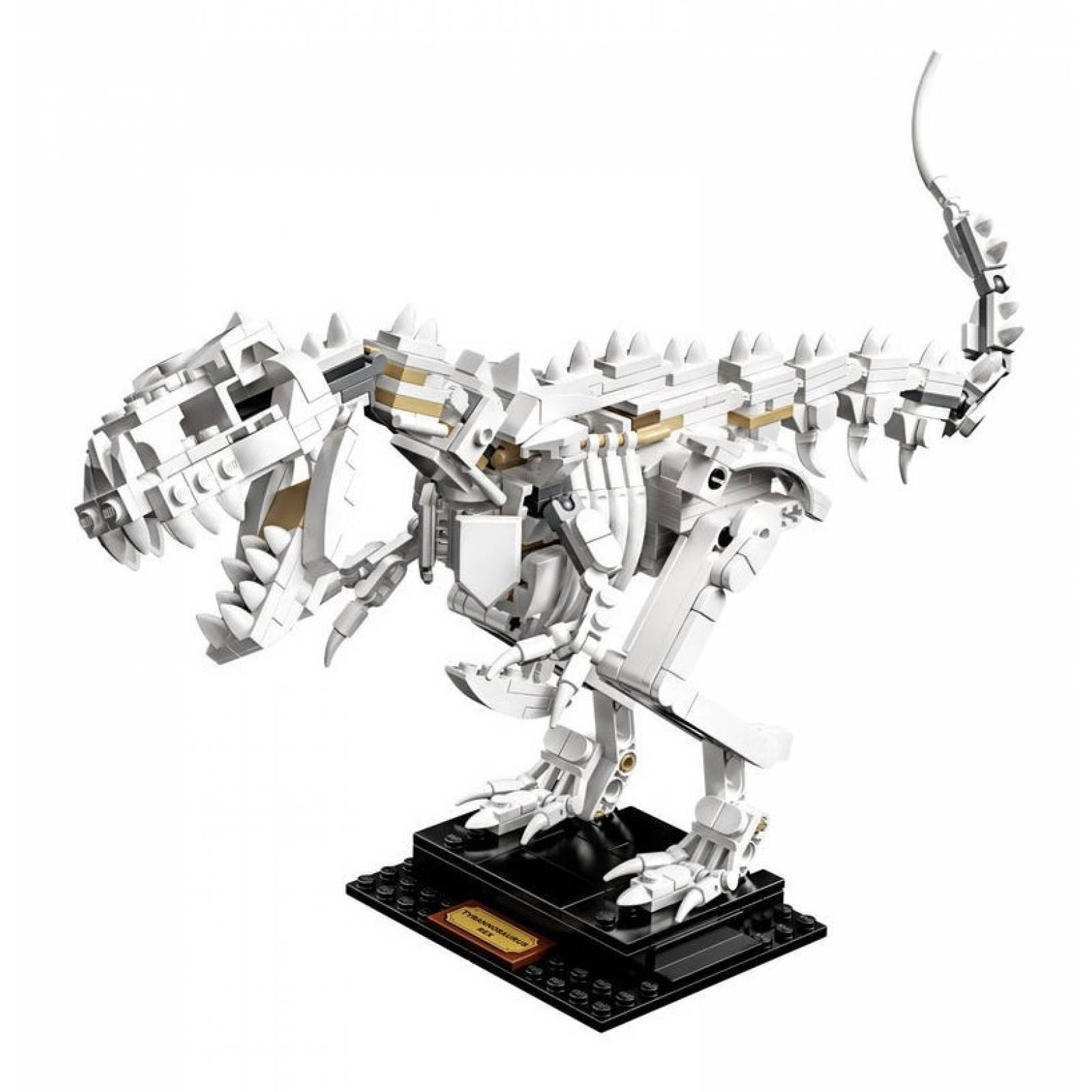 Lego 21320 Fósiles De Dinosaurio