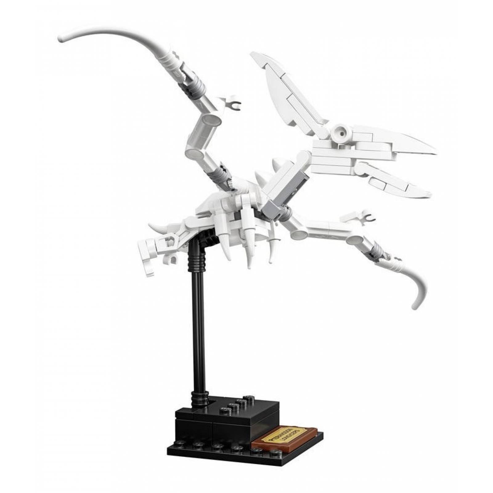 Lego 21320 Fósiles De Dinosaurio