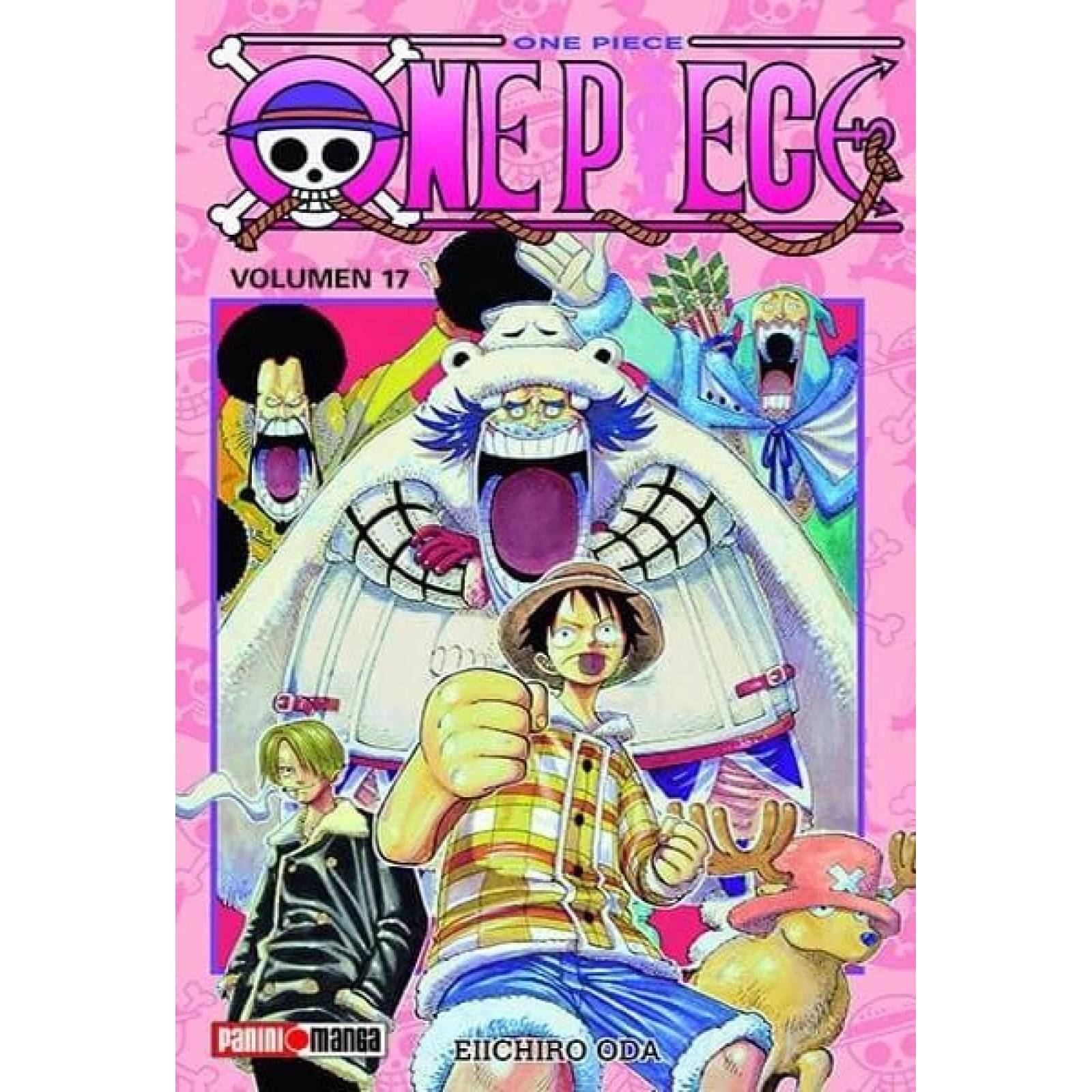ONE PIECE N.17