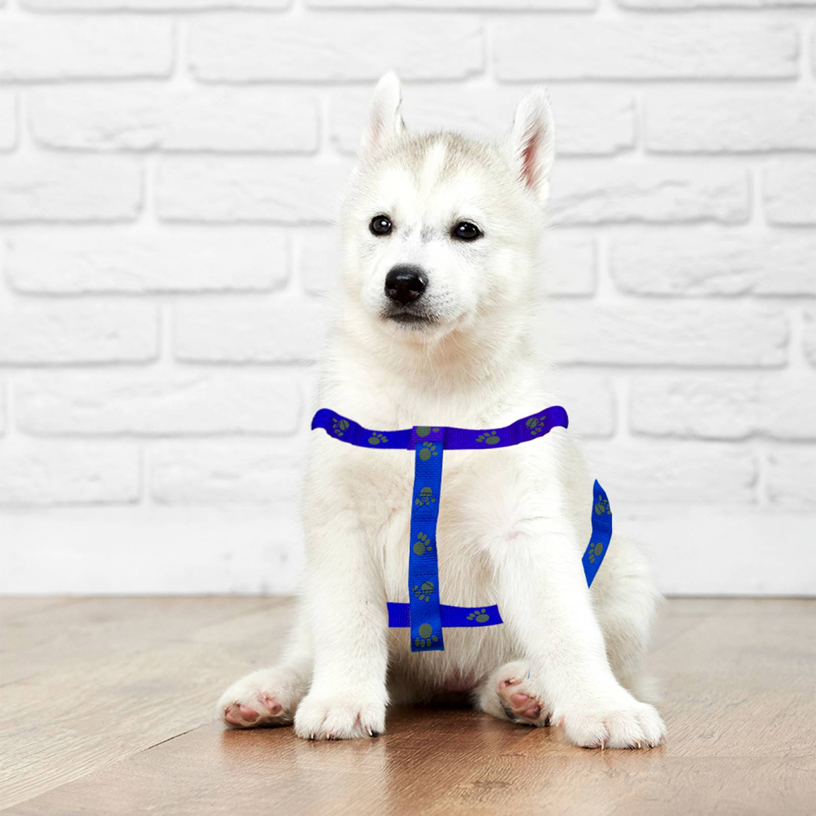 Arnes De Seguridad Pechera Azul Ajustable Para Perro Mediano Mascotas