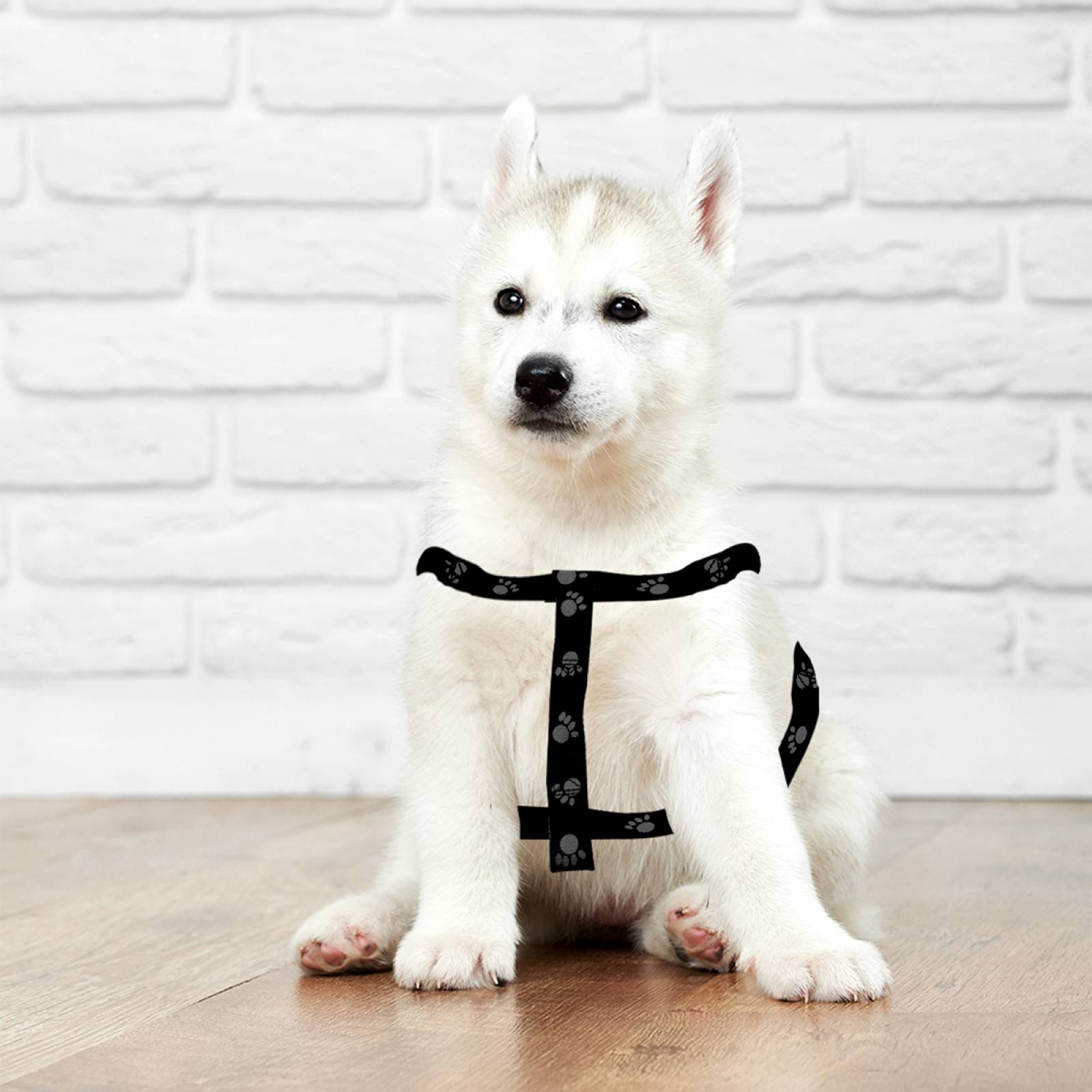 Arnes De Seguridad Pechera Negro Ajustable Para Perro Mediano Mascotas