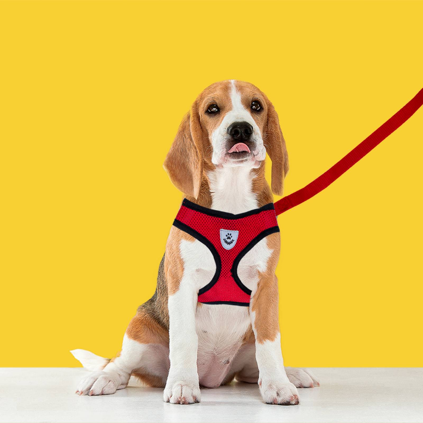 Arnes De Seguridad Tipo Pechera Negro Ajustable Para Perros Grande